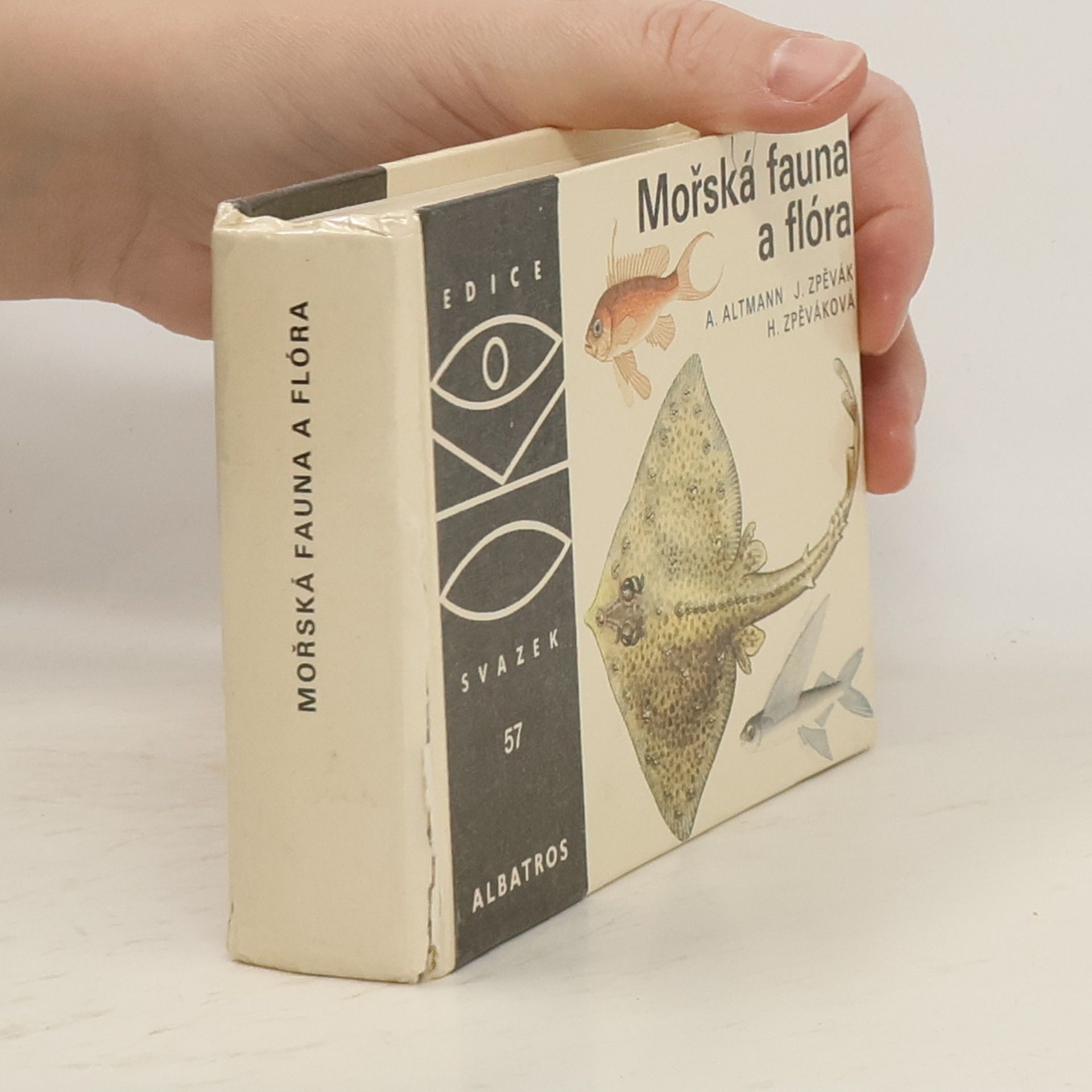 Antonín Altmann Mořská fauna a flóra