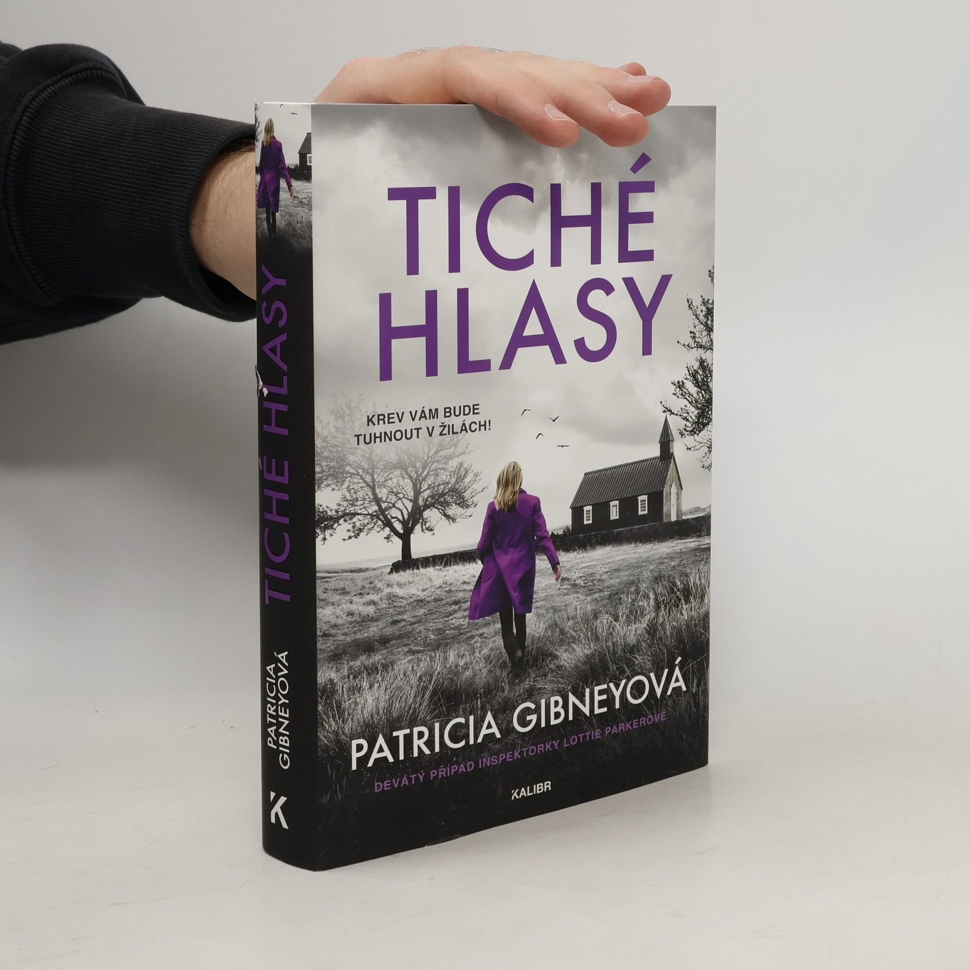 Drahomíra Michnová Tiché hlasy