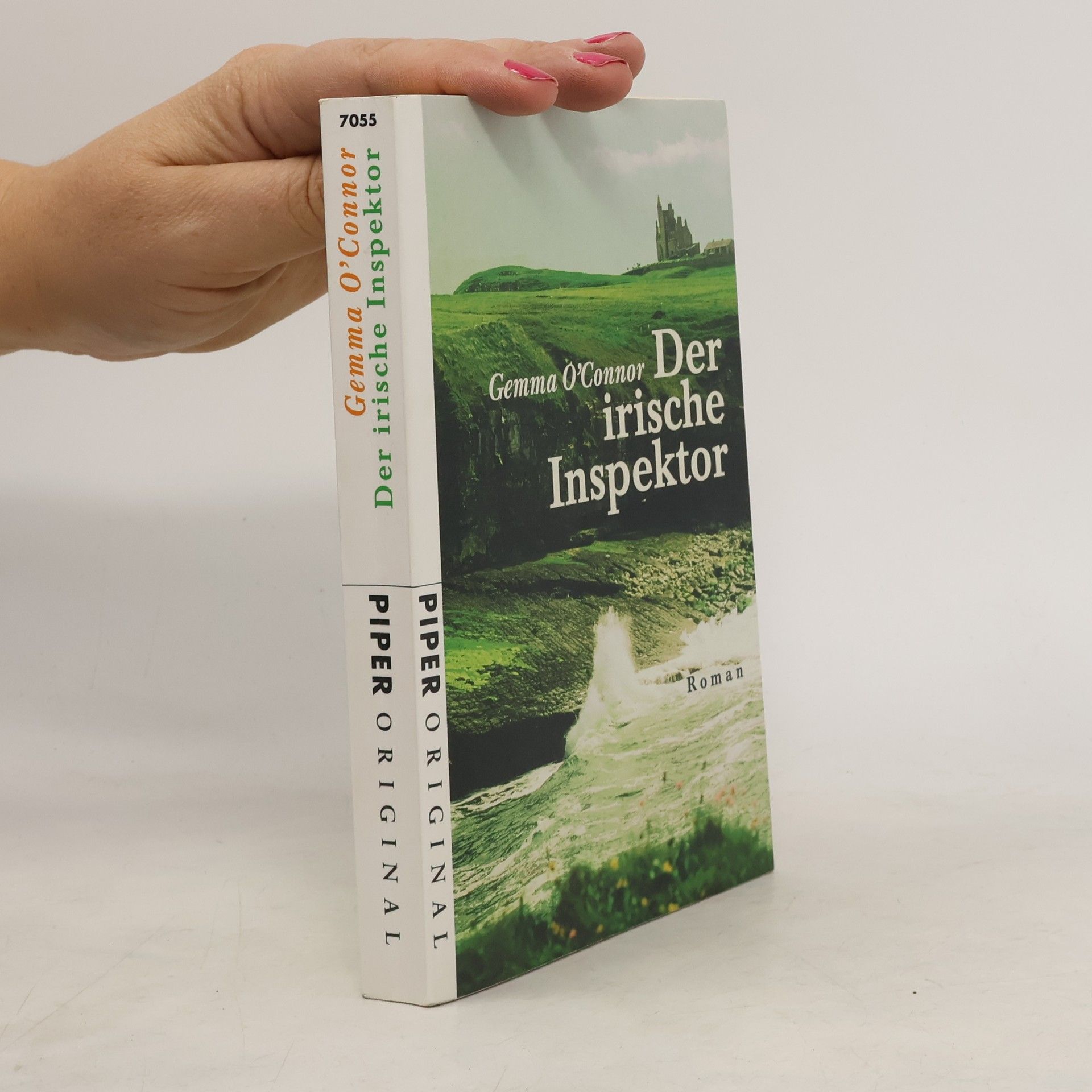 Der irische Inspektor. Roman