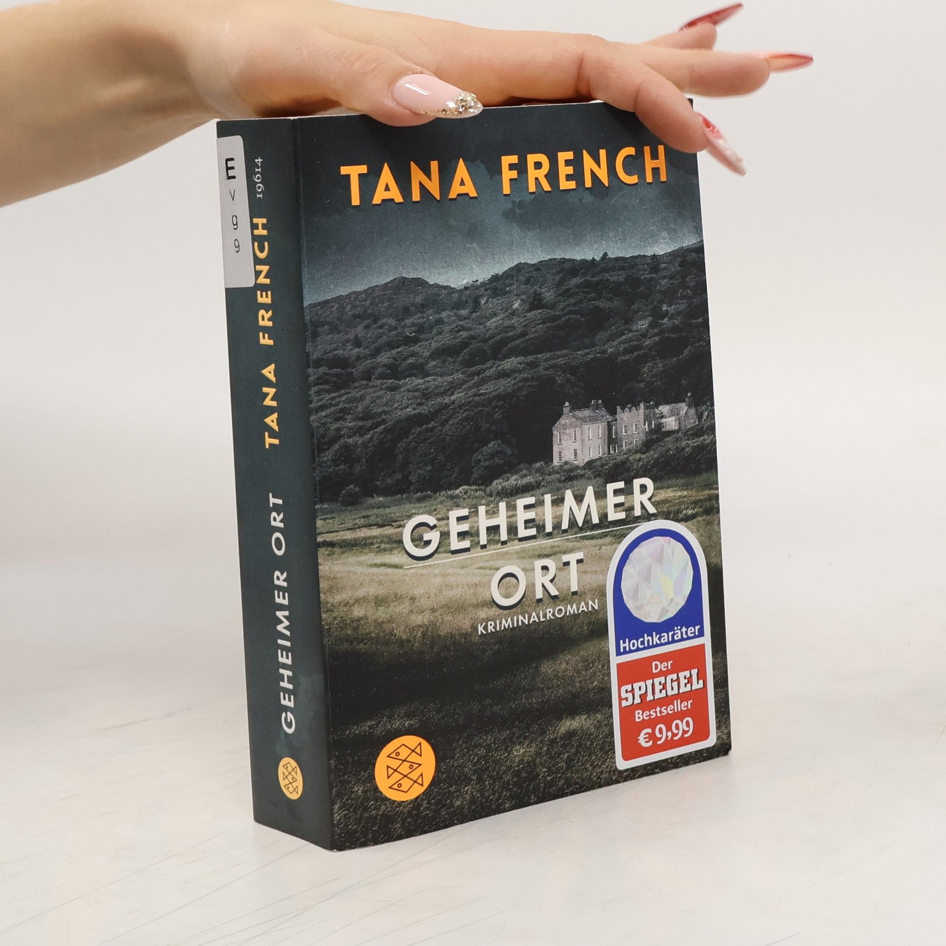 Tana French Geheimer Ort