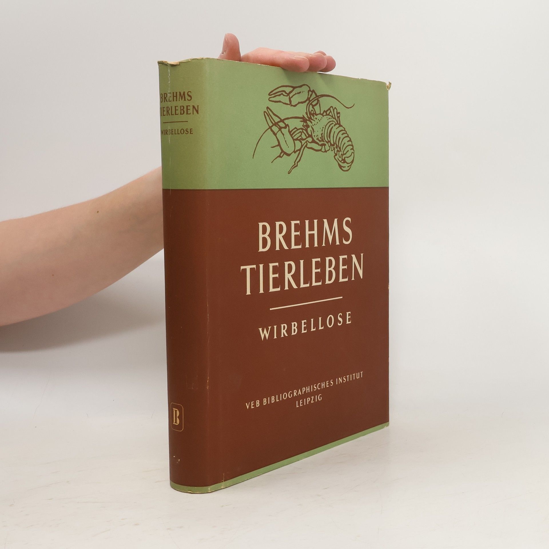 Collectif d'auteurs Brehms Tierleben