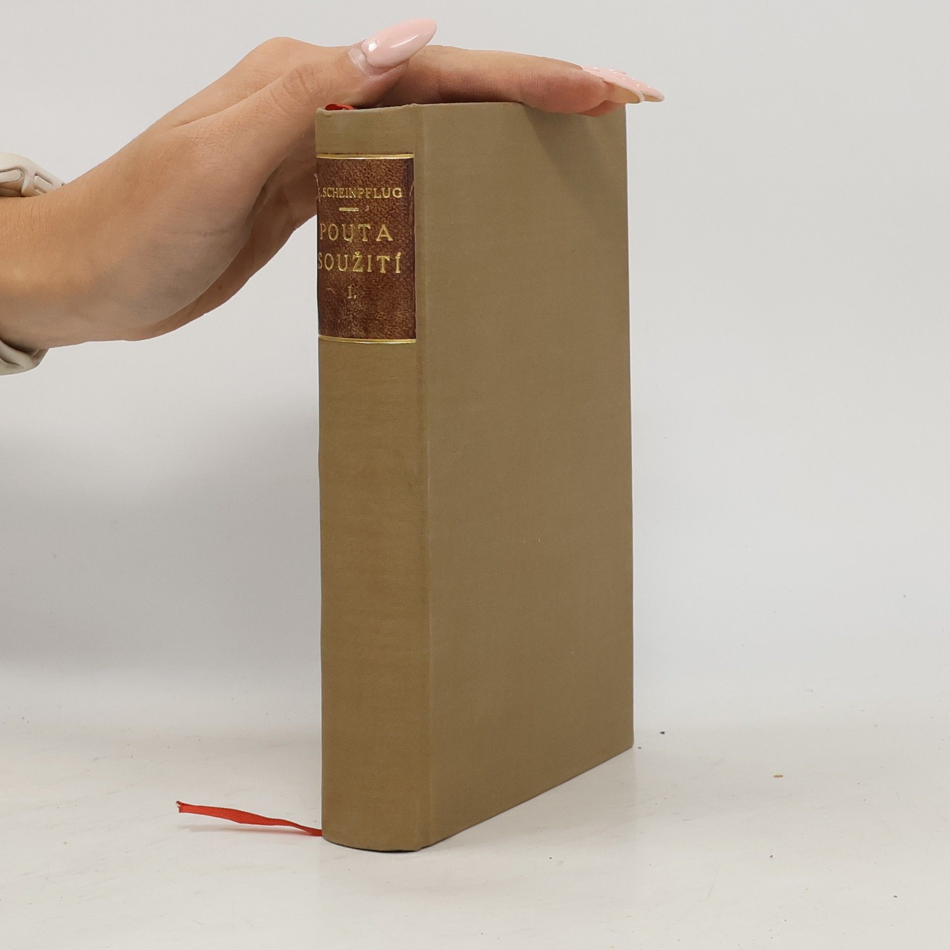 K. Scheinpflug Pouta soužití I. díl