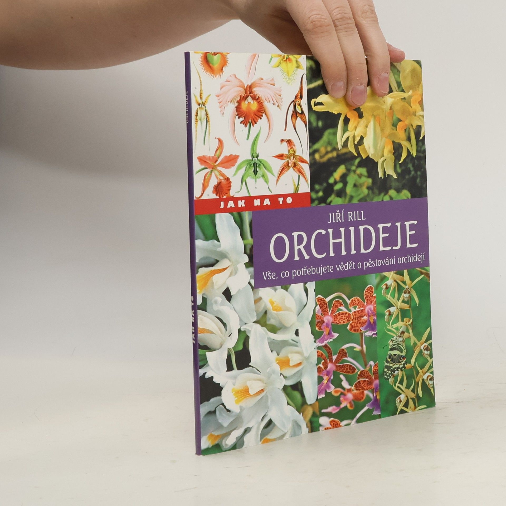 Orchideje Vše, co potřebujete vědět o pěstování orchidejí
