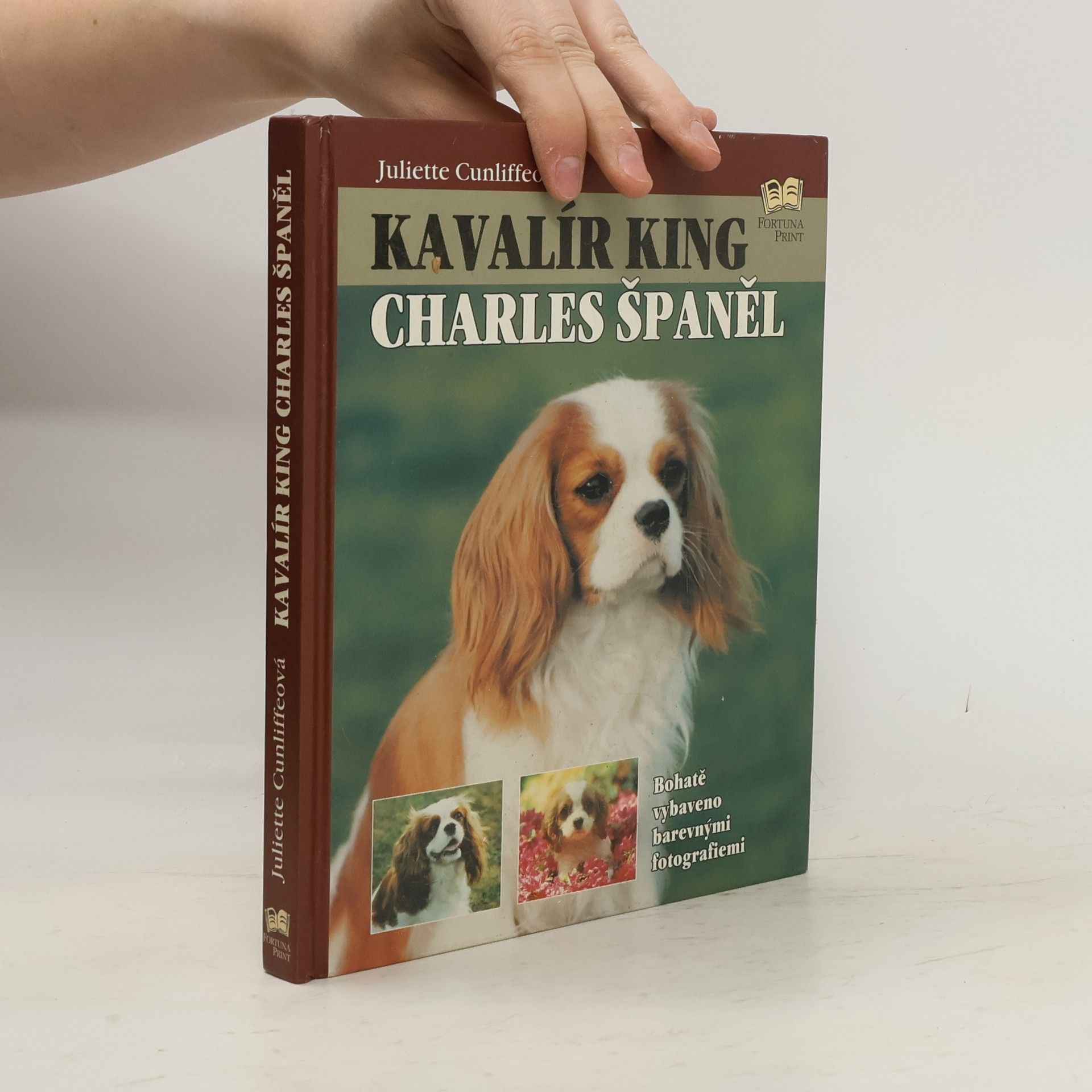 Juliette Cunliffe Kavalír king Charles španěl