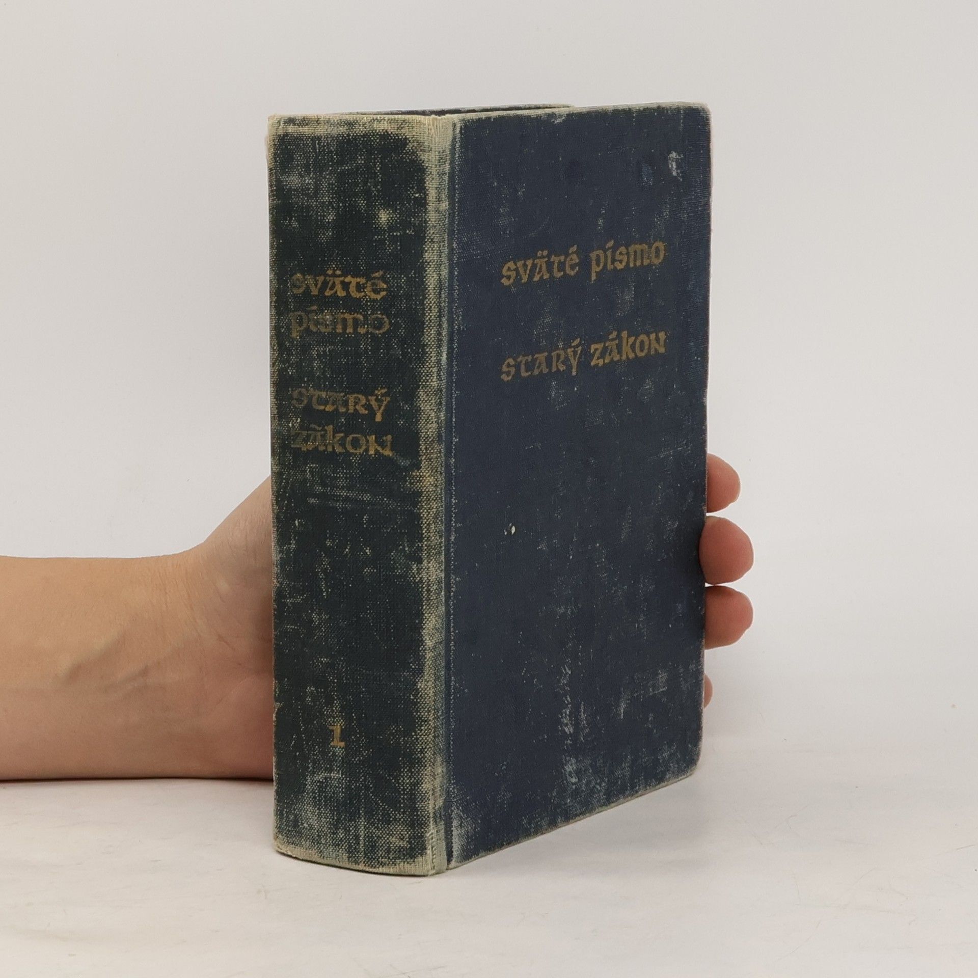 Kolektív autorov Sväté Písmo - Starý zákon I