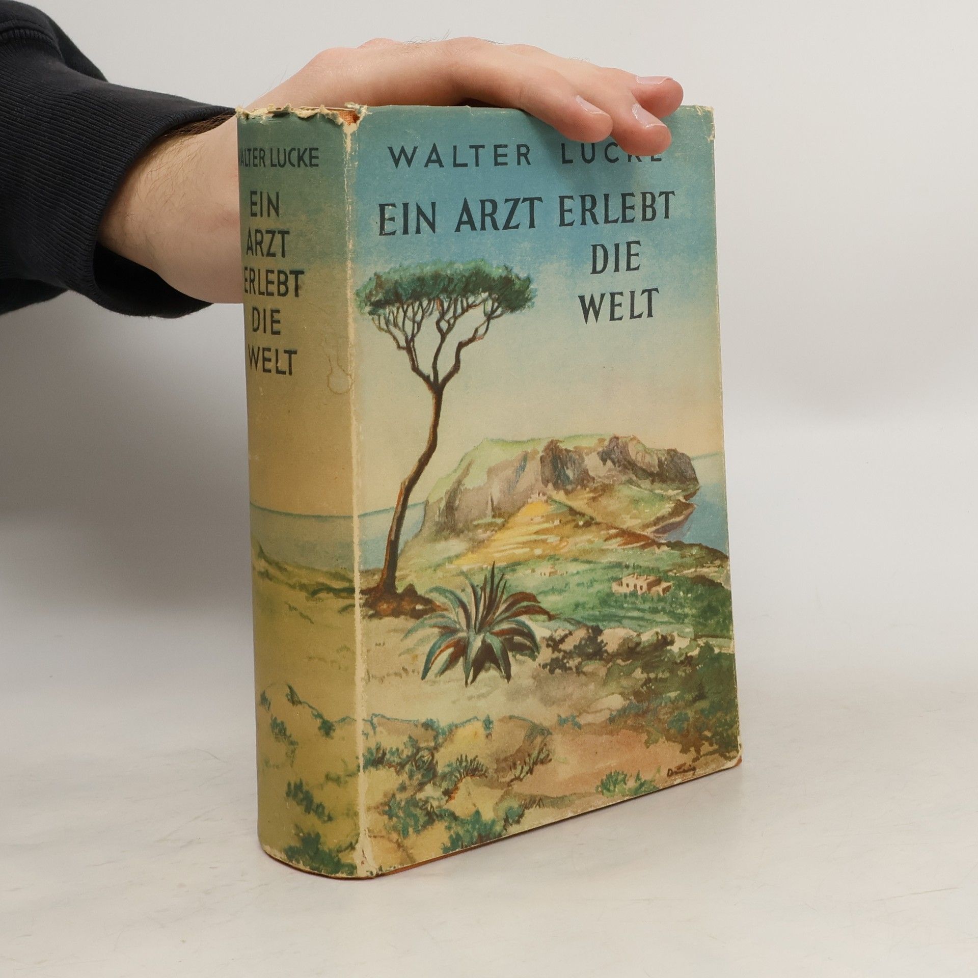 Ein Arzt erlebt die Welt