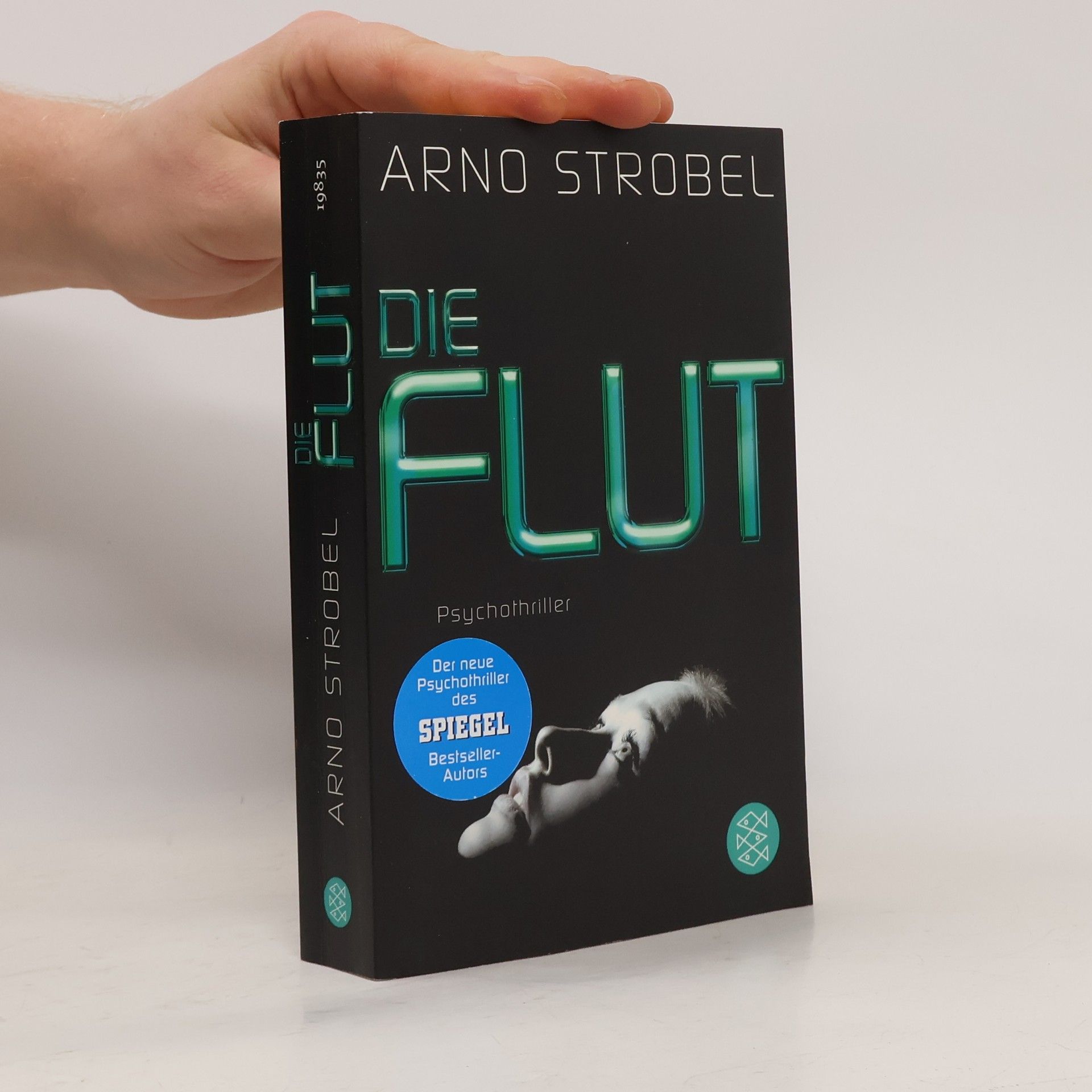 Arno Strobel Die Flut