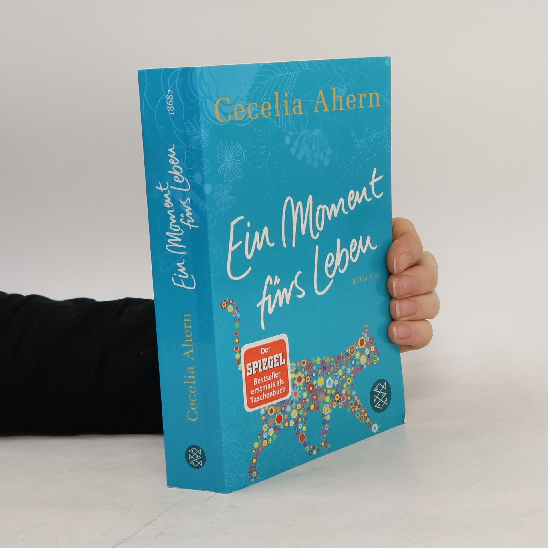 Cecelia Ahern Ein Moment fürs Leben