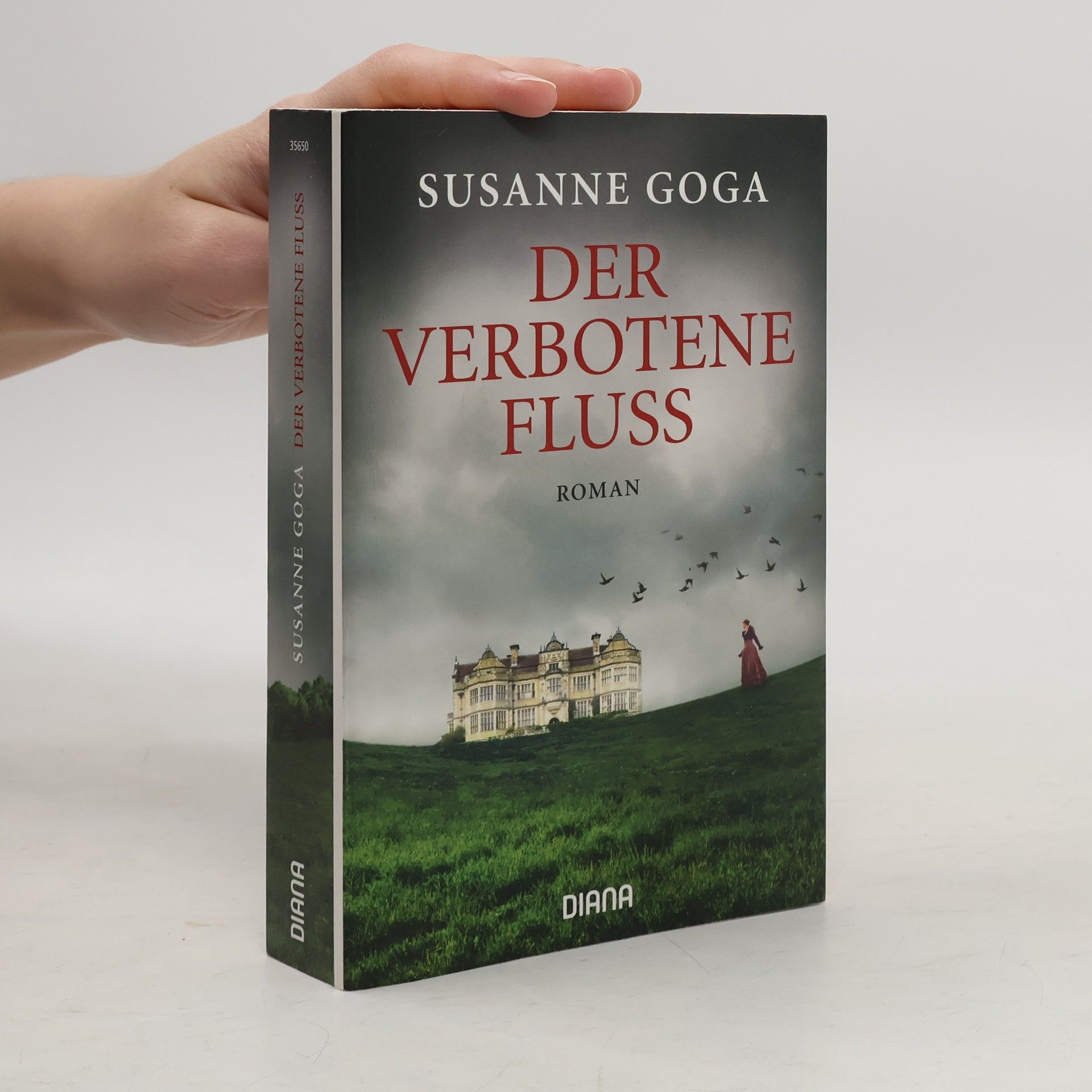 Susanne Goga Der verbotene Fluss