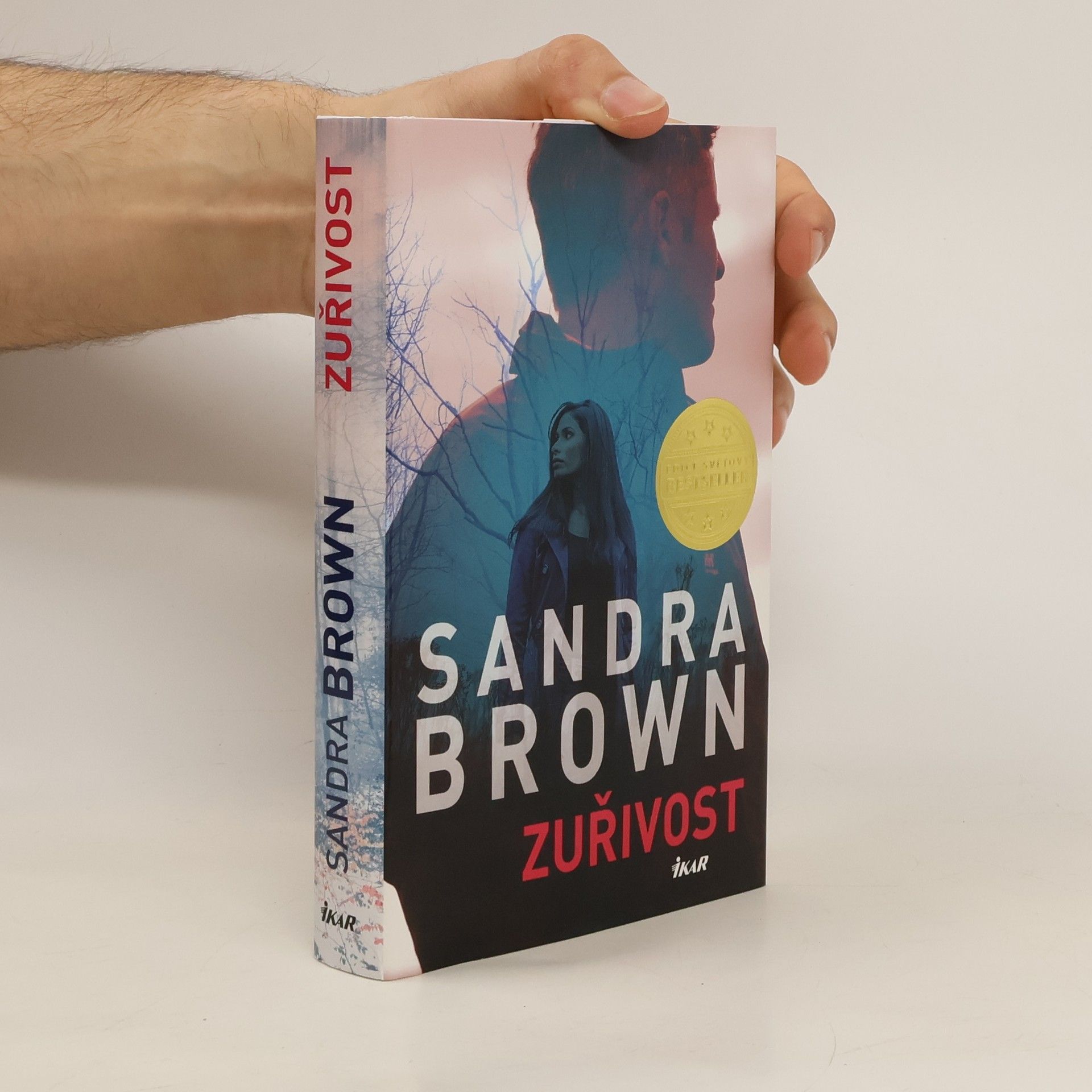 Sandra Brown Zuřivost