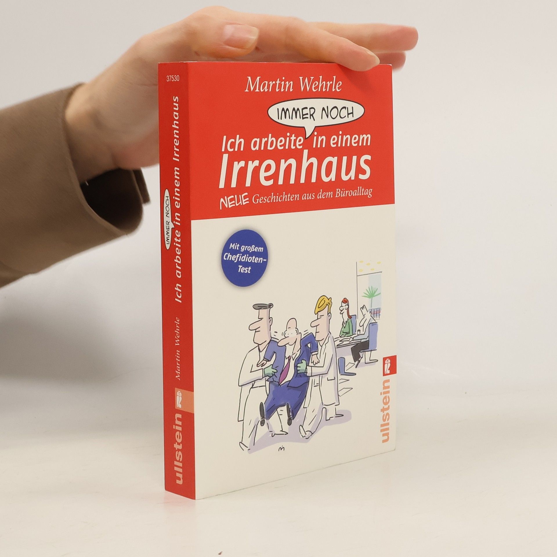 Ich arbeite immer noch in einem Irrenhaus