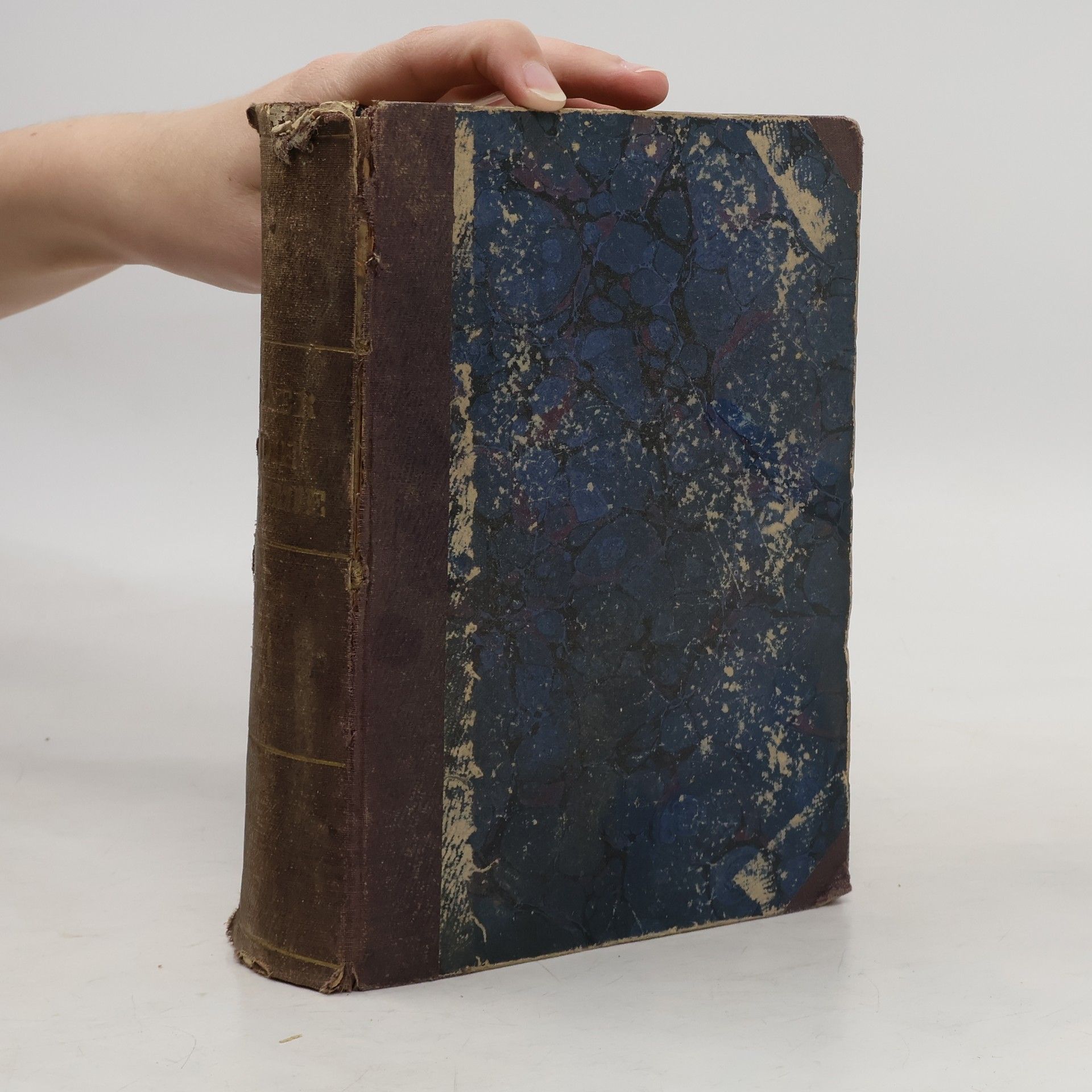 Wilhelm Baer Die Chemie des praktischen Lebens