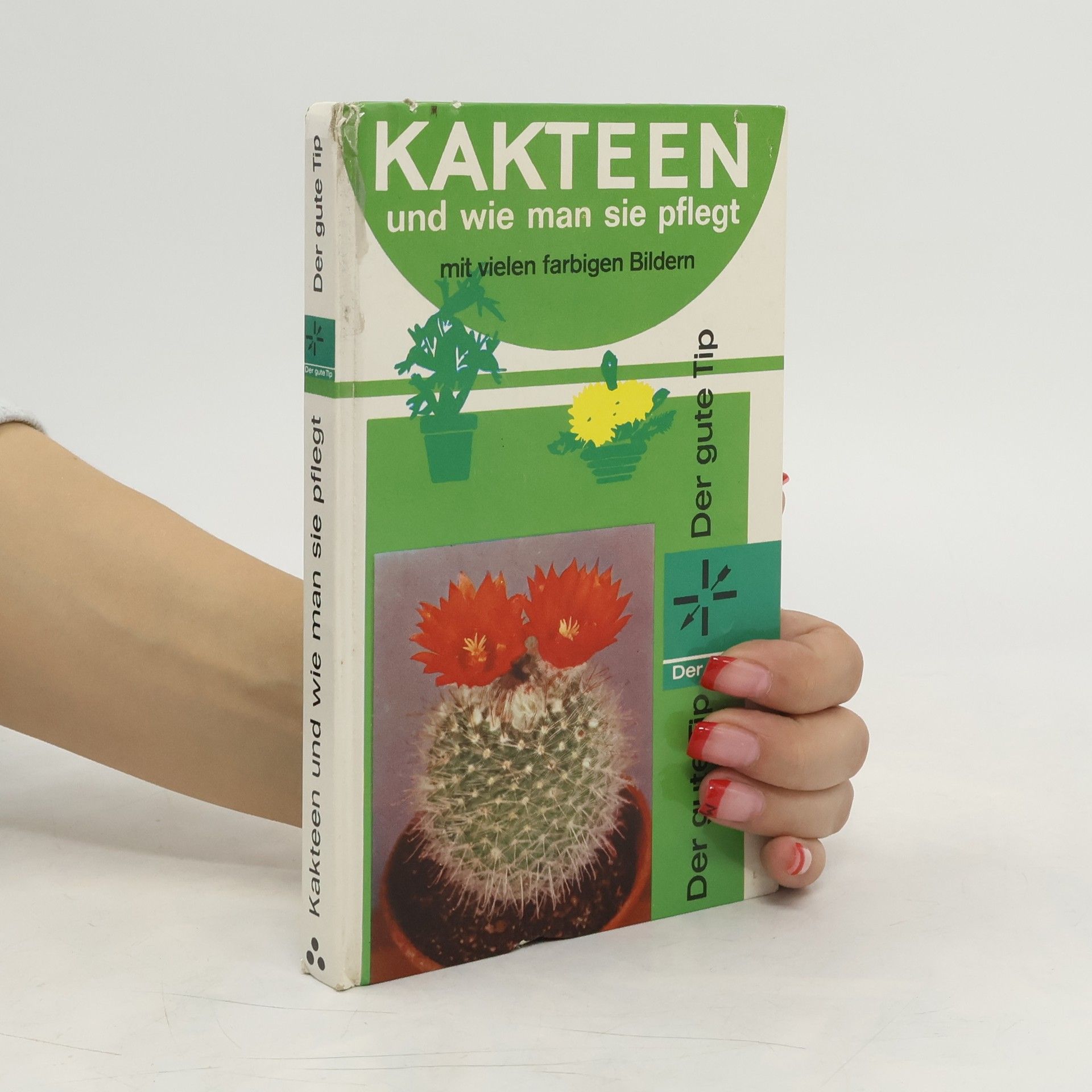 Collectif d'auteurs Kakteen und wie man sie pflegt