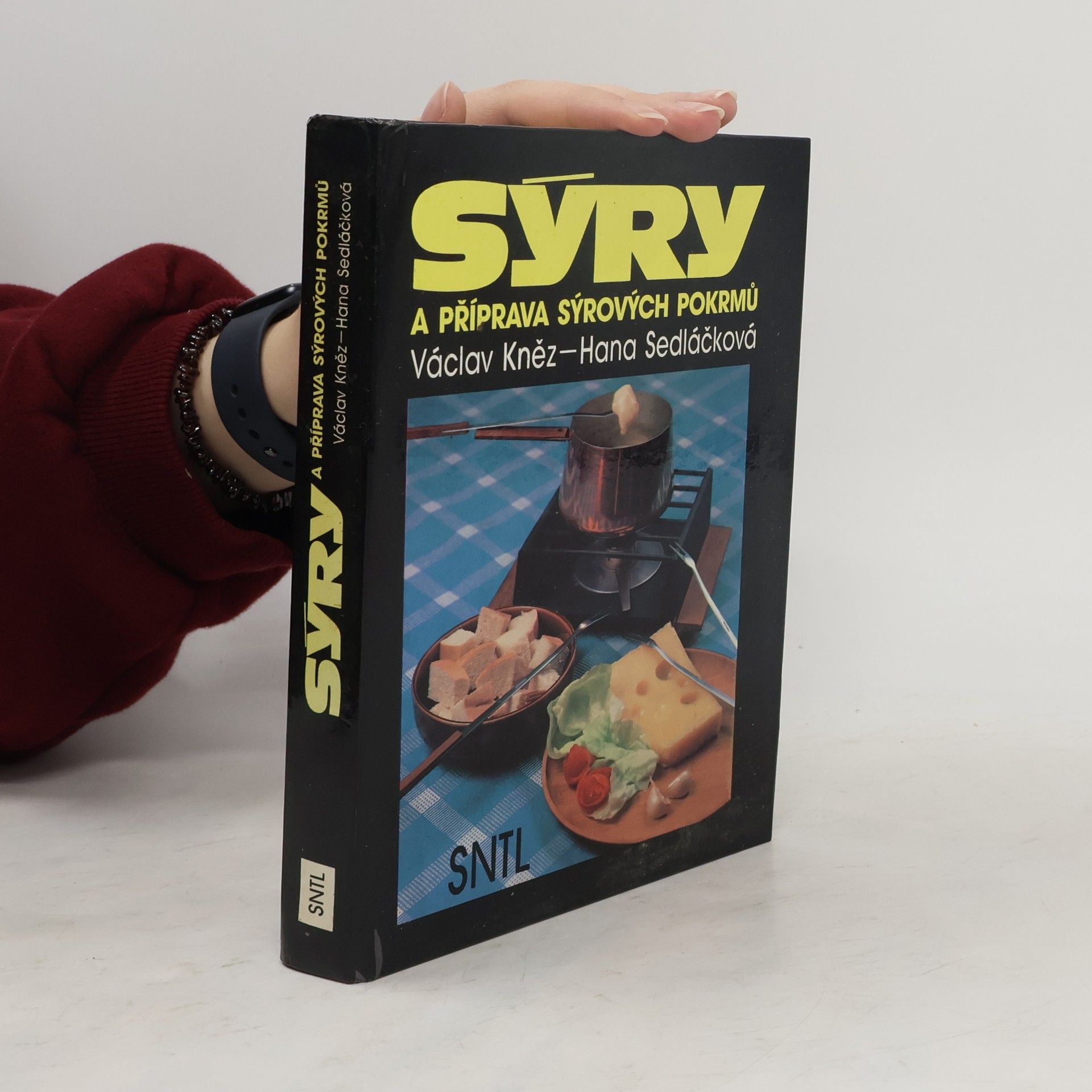 Sýry a příprava sýrových pokrmů