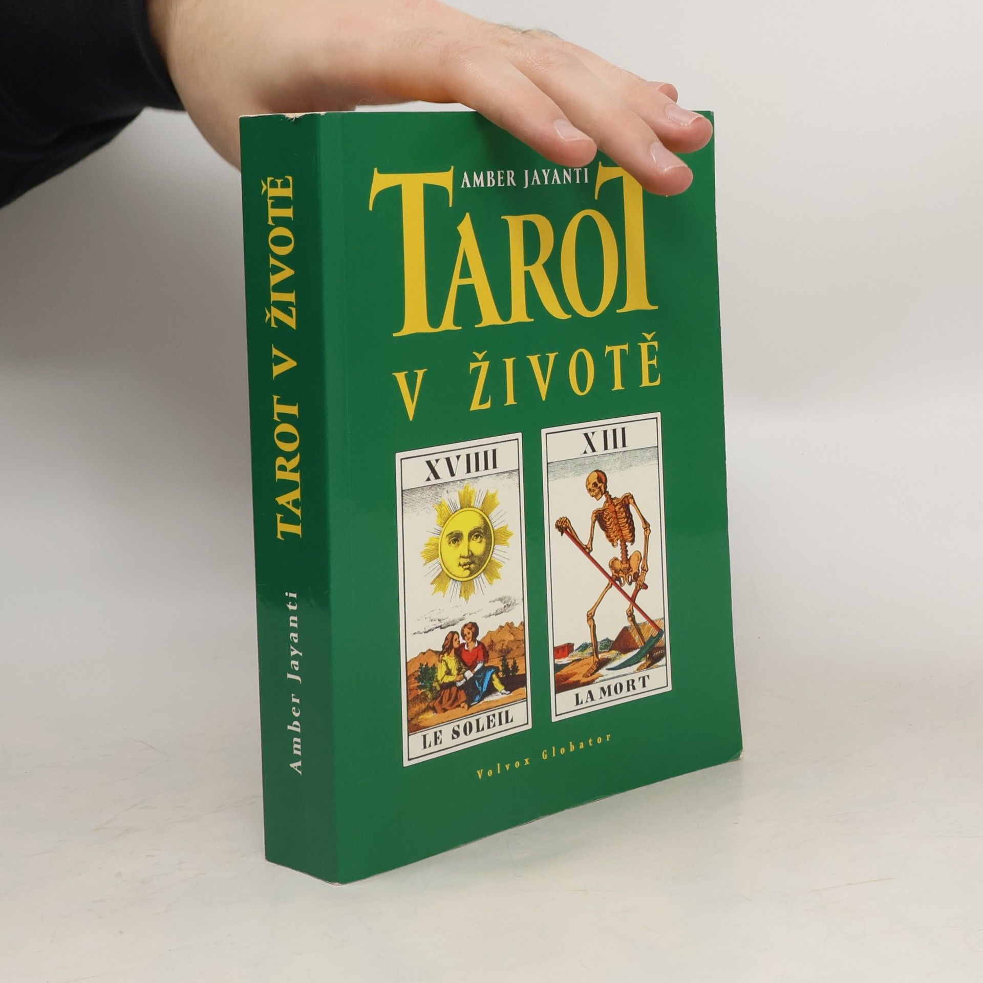 Amber Jayanti Tarot v životě