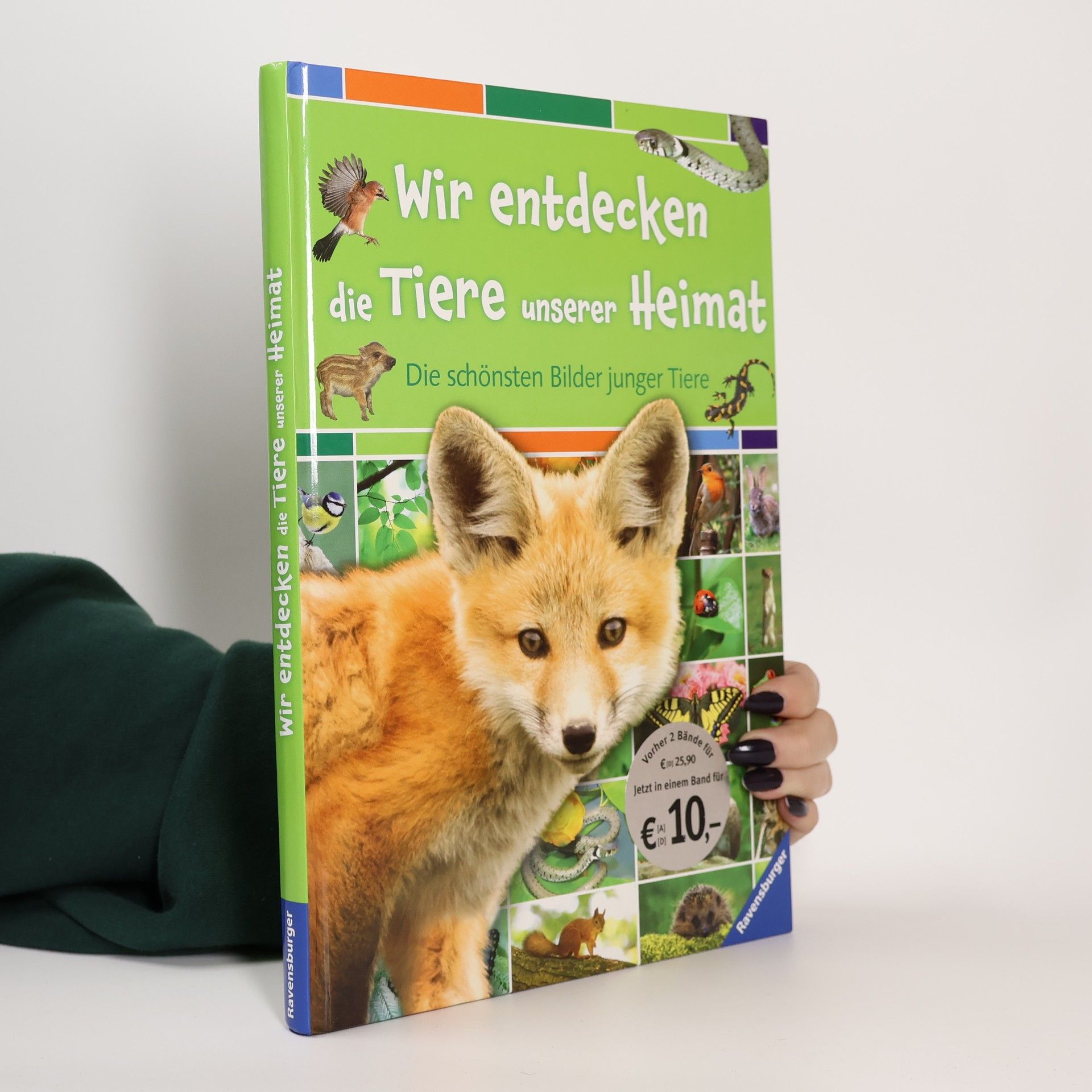 Colette Barbe Julien Wir entdecken die Tiere unserer Heimat