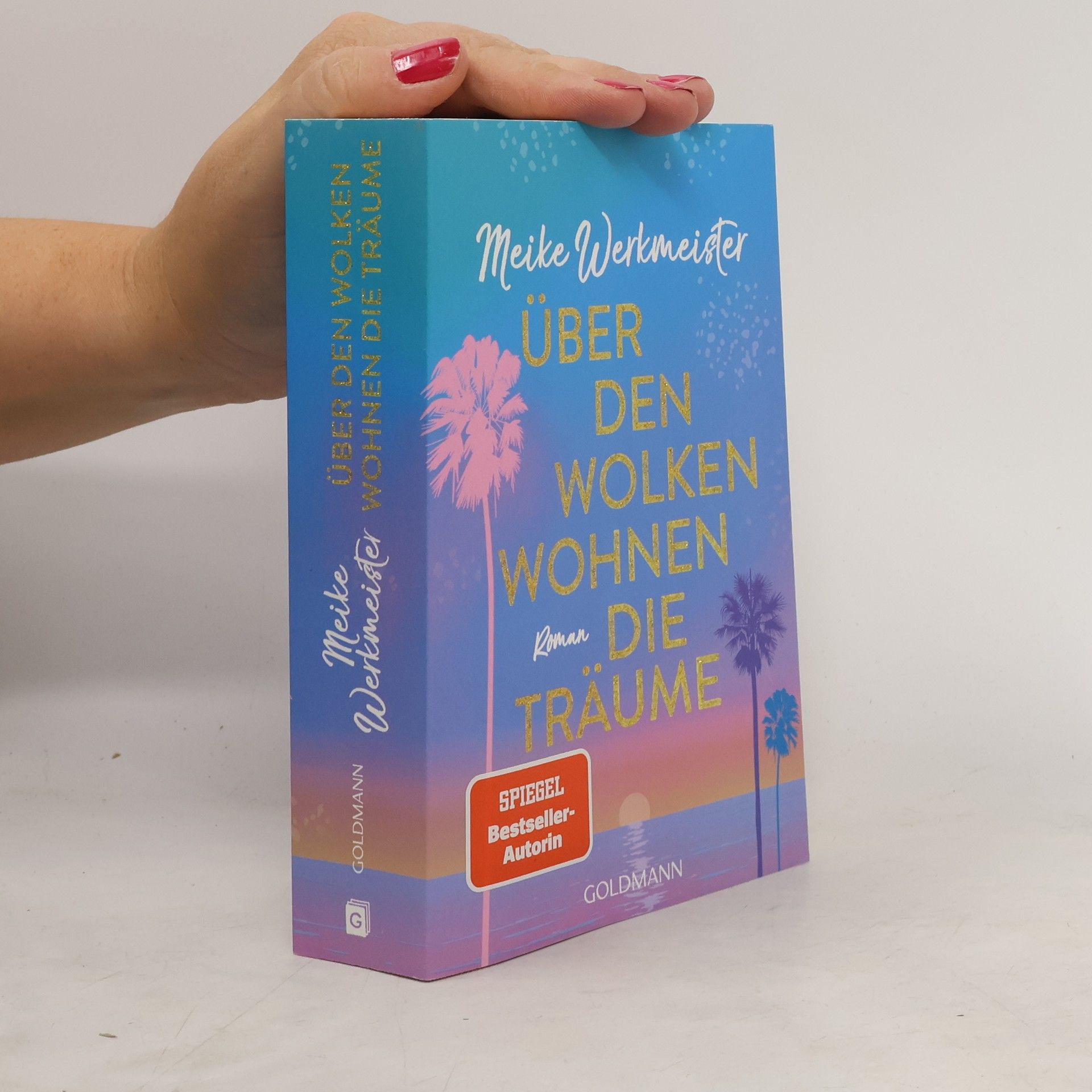 Meike Werkmeister Über den Wolken wohnen die Träume