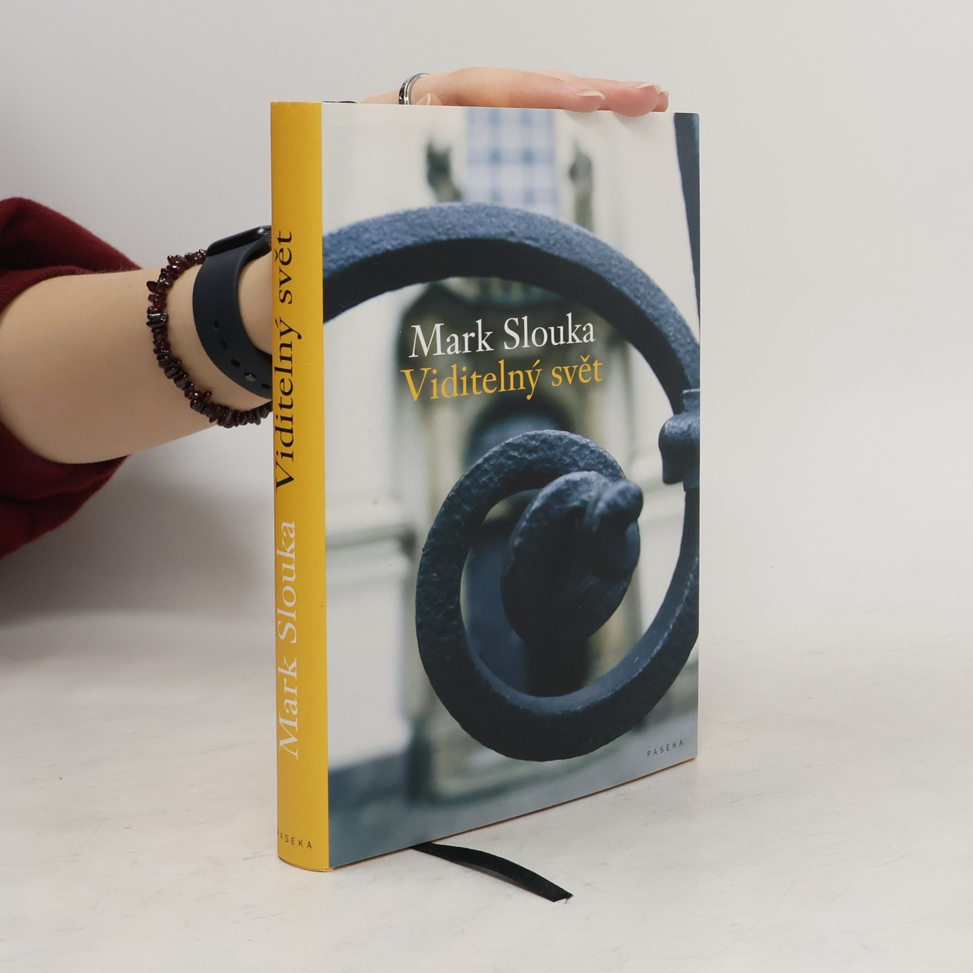 Mark Slouka Viditelný svět