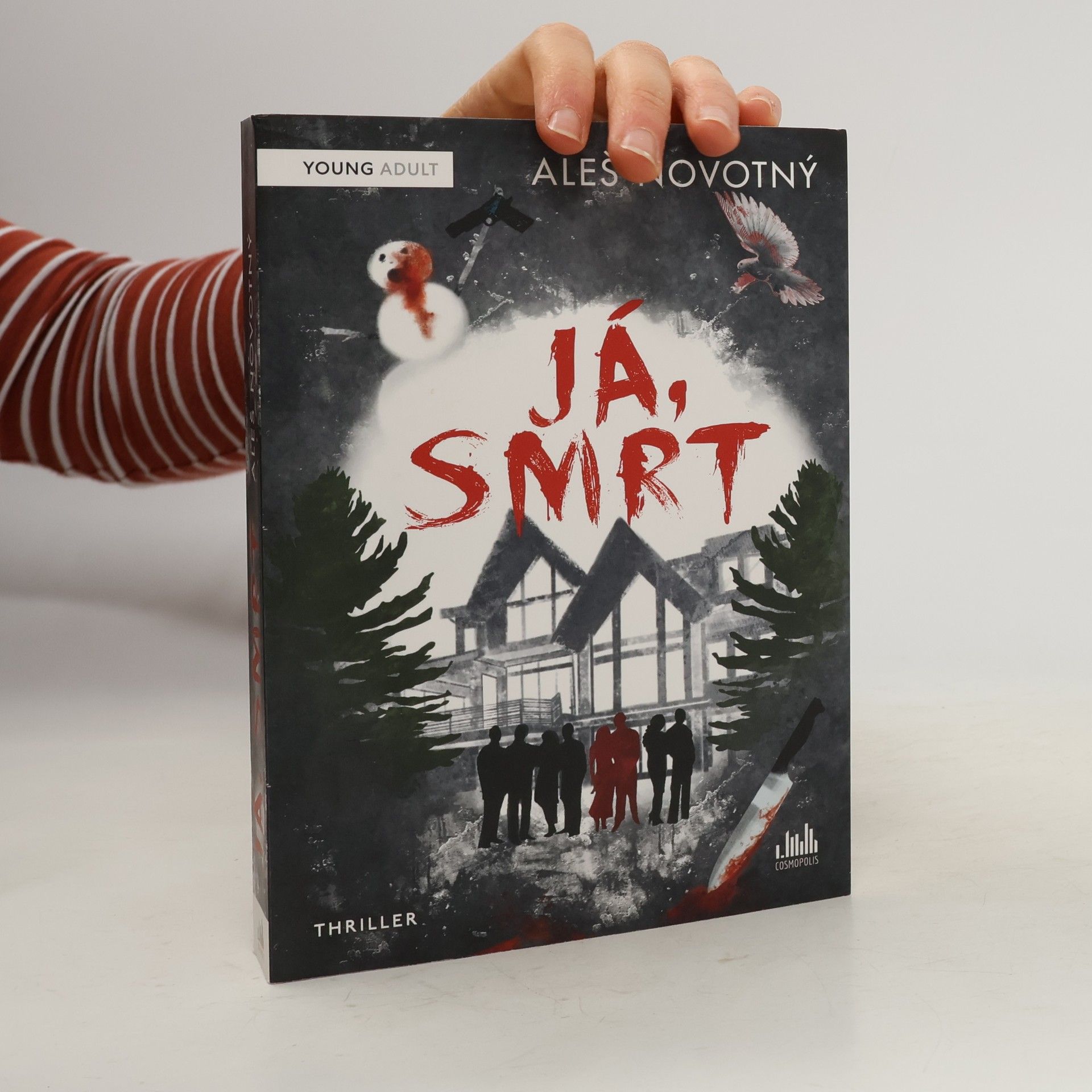 Aleš Novotný Já, Smrt