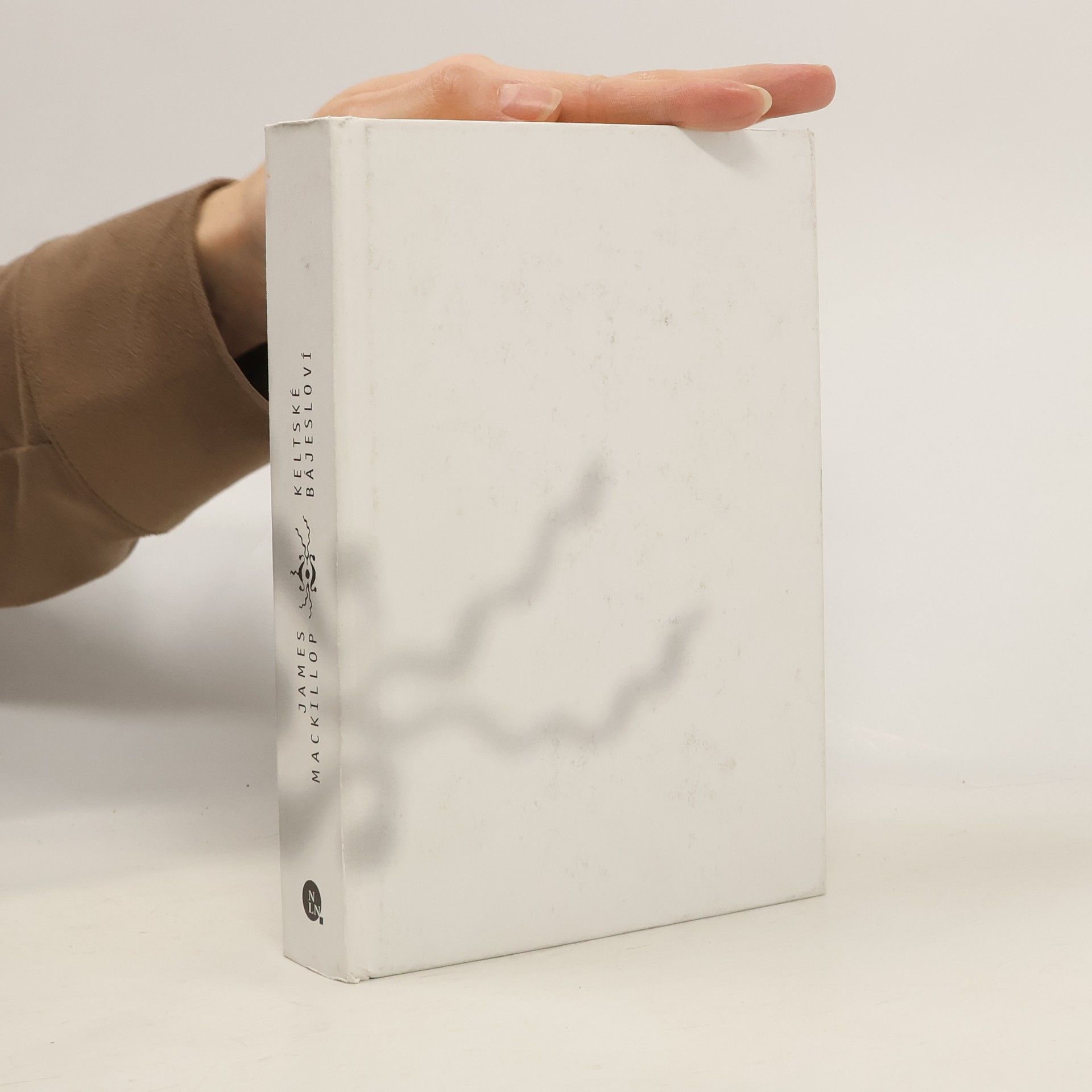 Keltské bájesloví