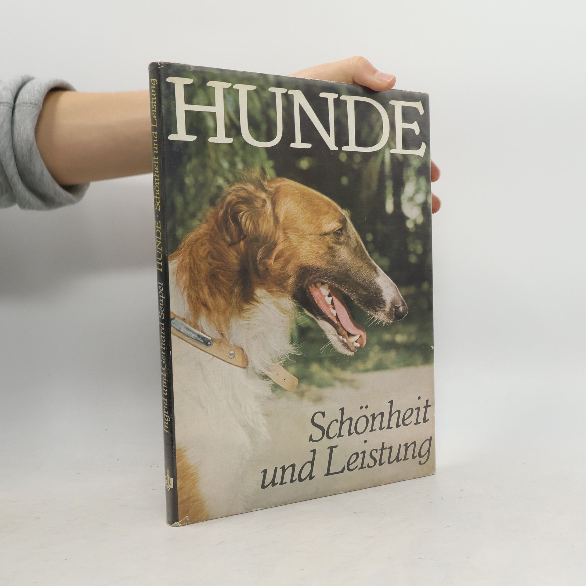 Autorenkollektiv Hunde