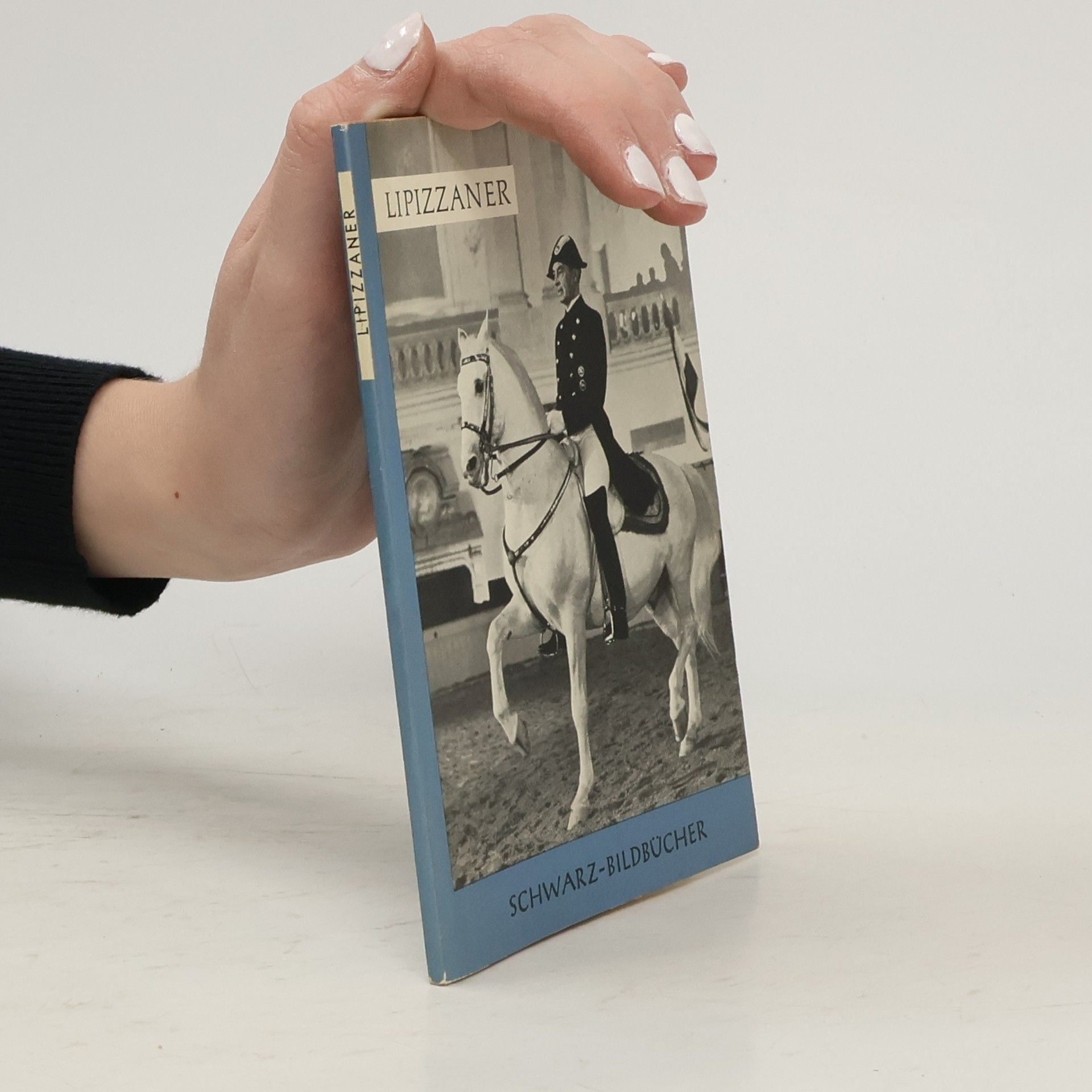 Kolektiv autorů Lipizzaner