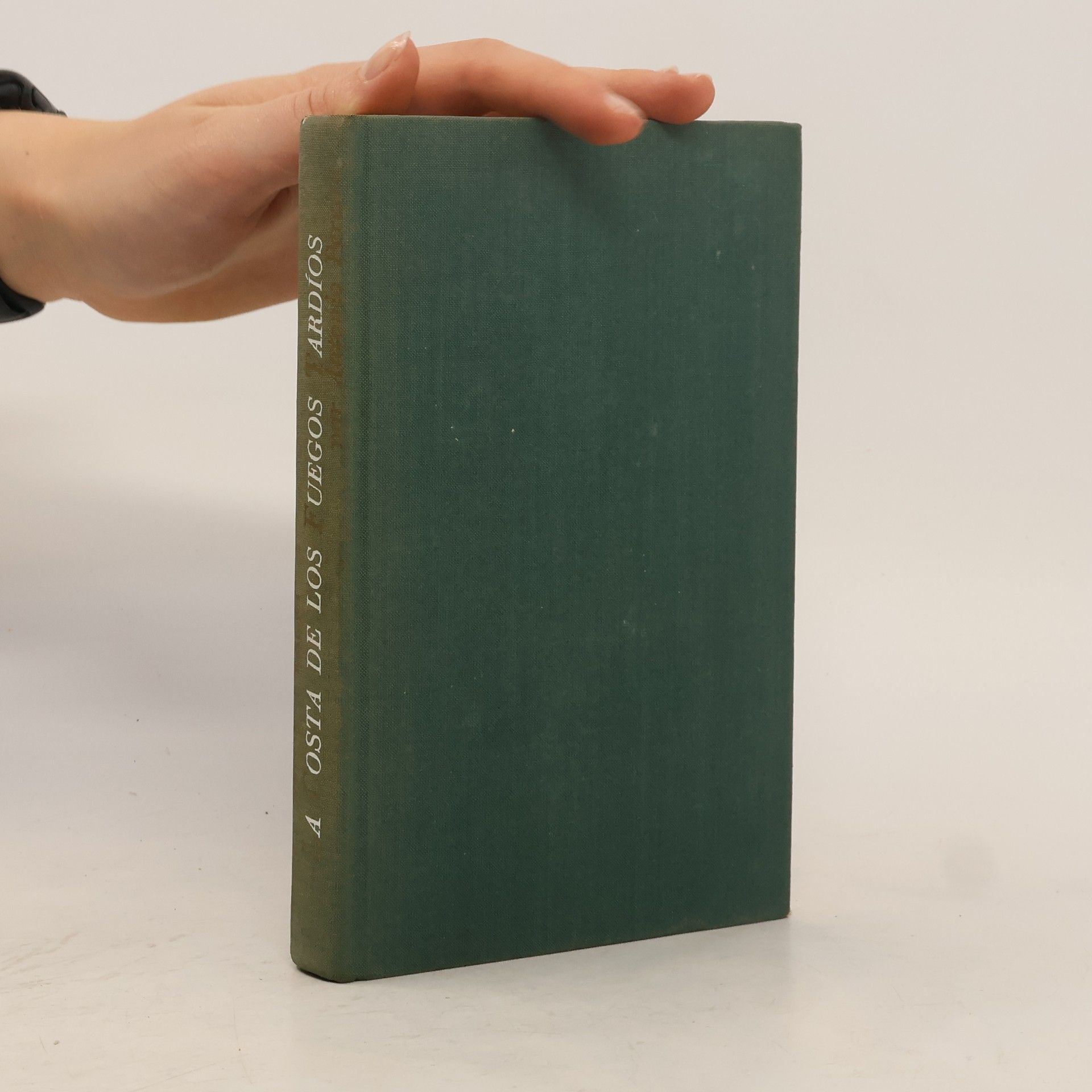 Antonio Pereira La costa de los fuegos tardíos