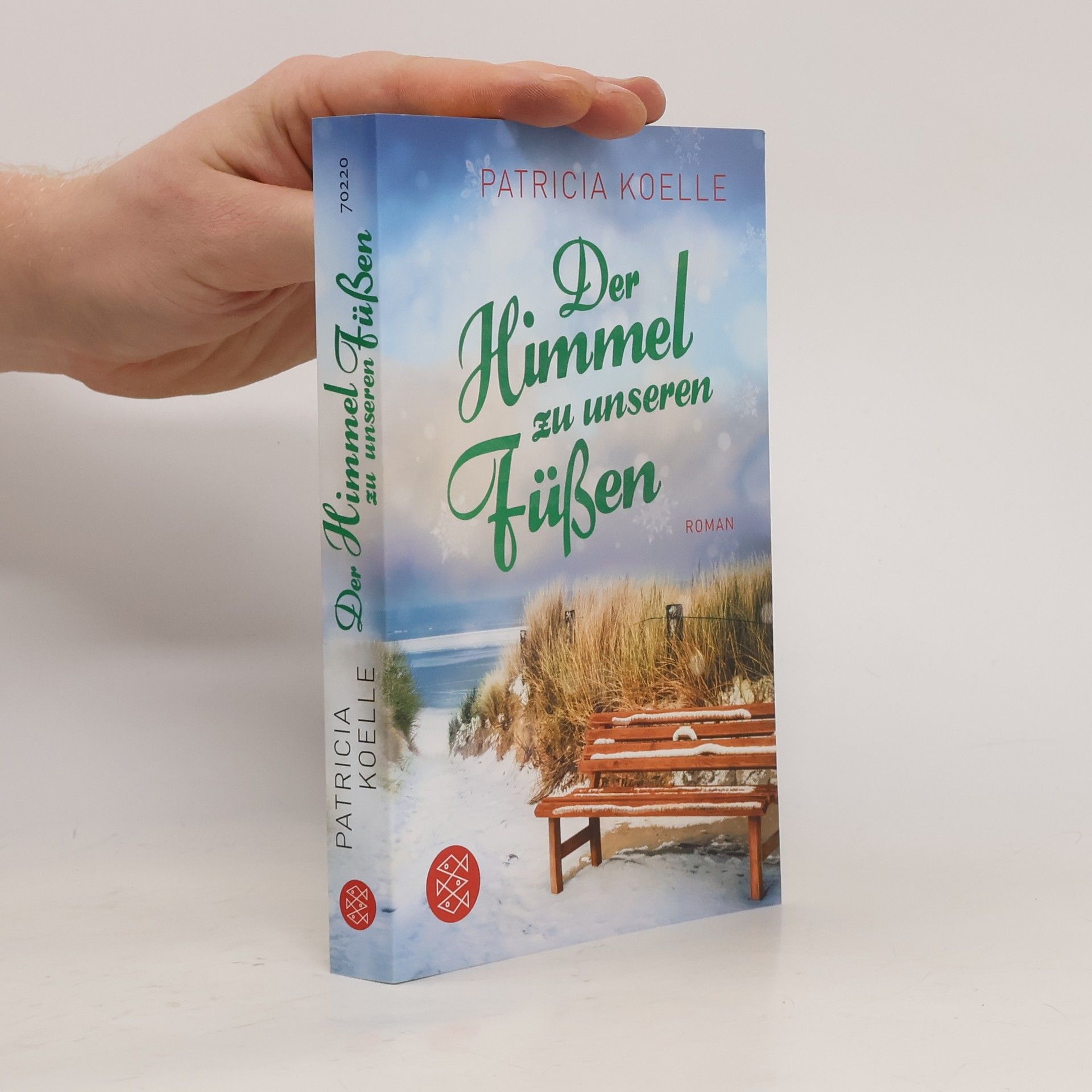 Patricia Koelle Der Himmel zu unseren Füßen