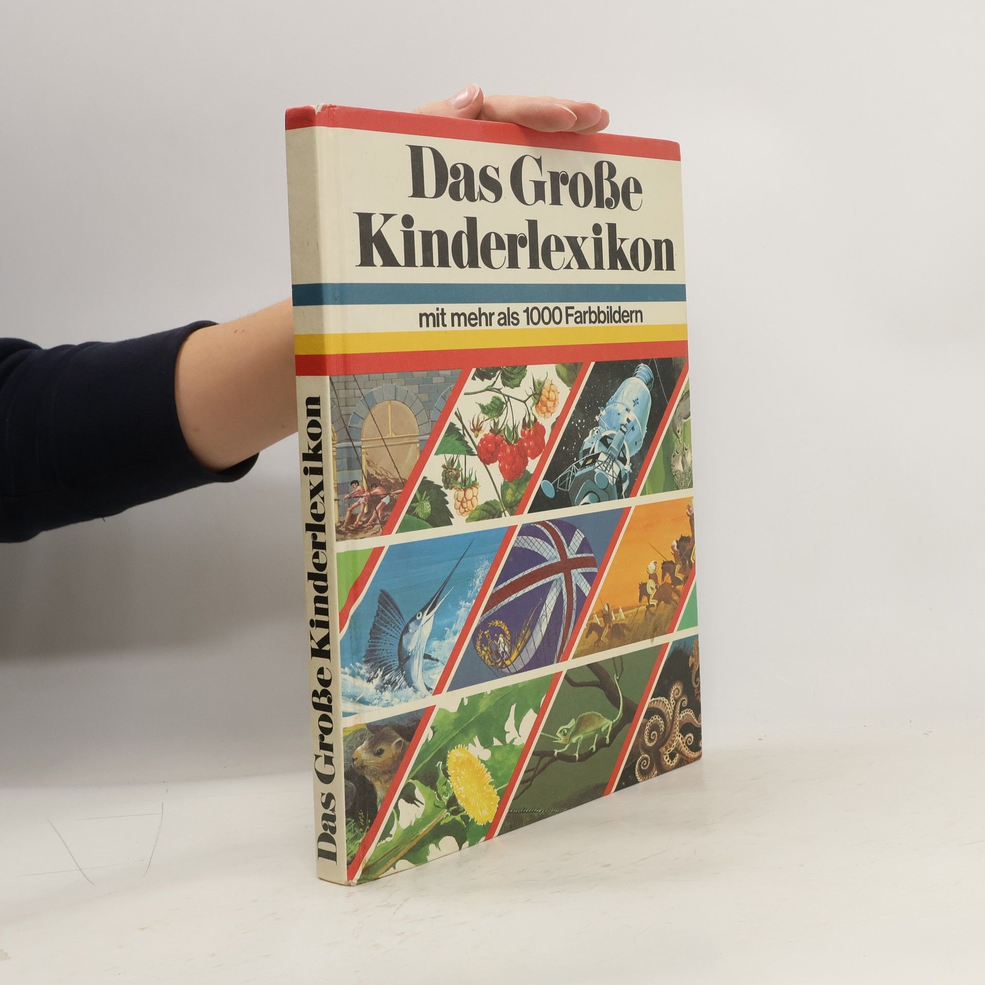 Collectif d'auteurs Das Große Kinderlexikon