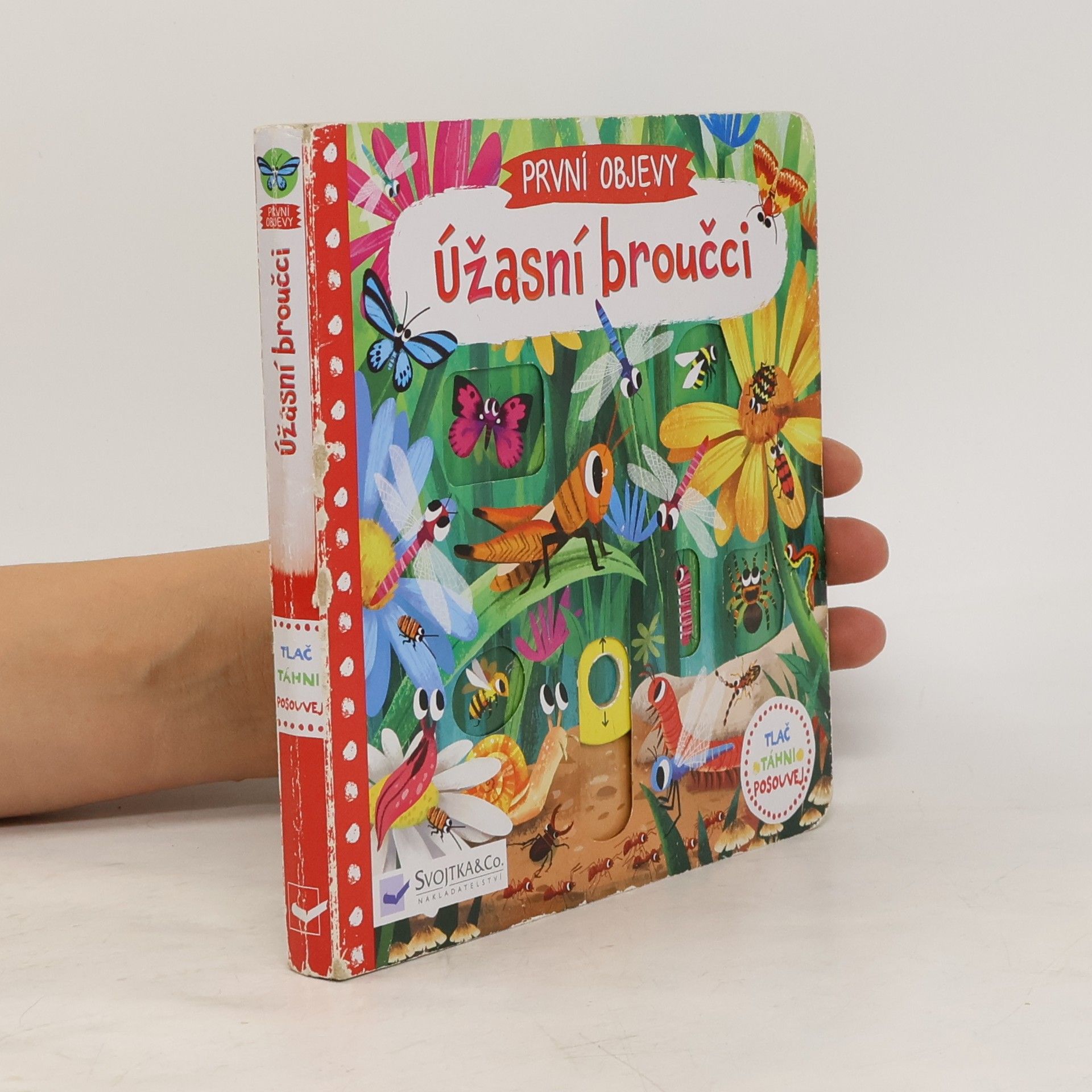 Jenny Wren První objevy: Úžasní broučci