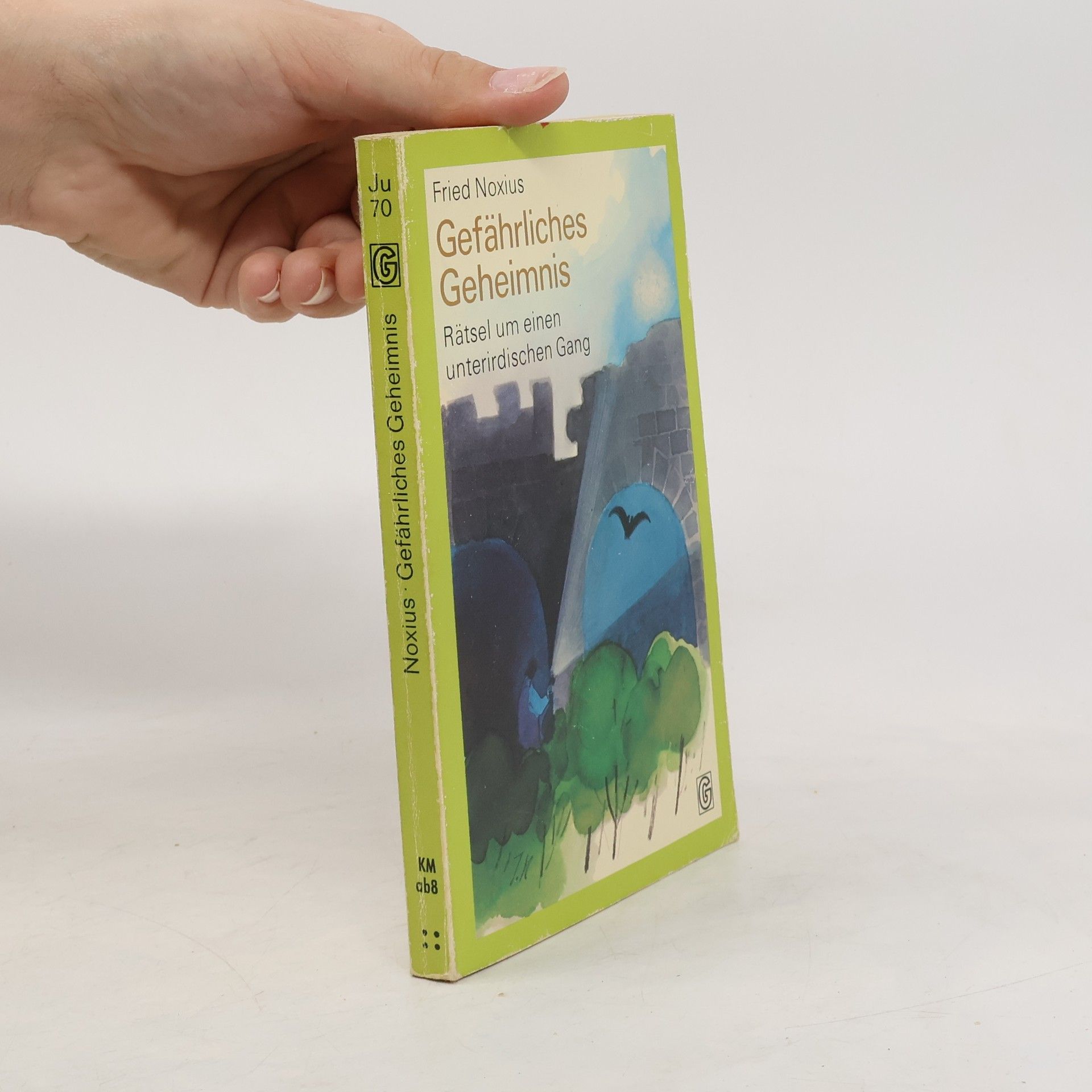 Fried Noxius Gefährliches Geheimnis