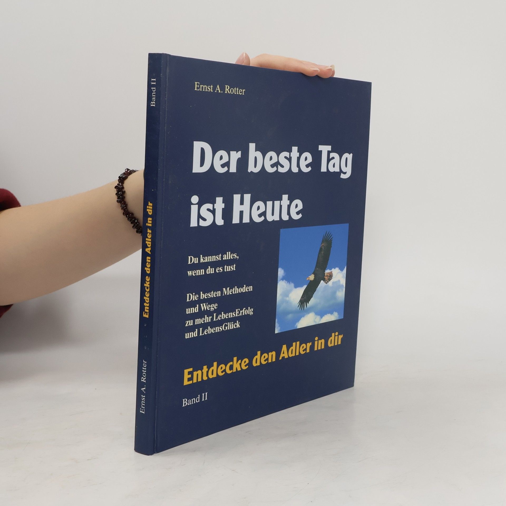 Der beste Tag ist Heute II