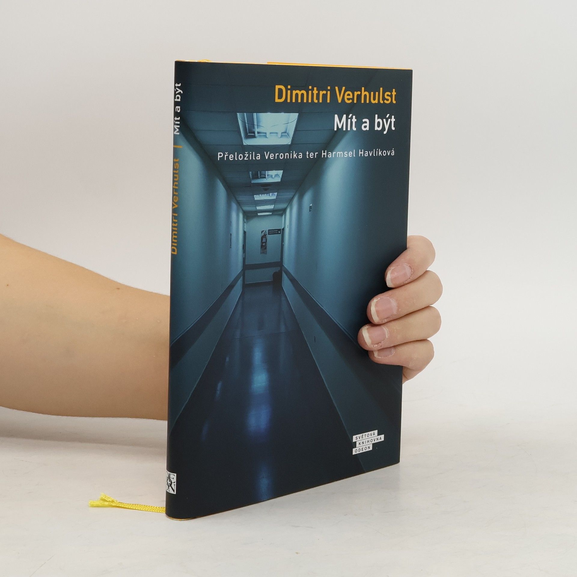 Dimitri Verhulst Mít a být