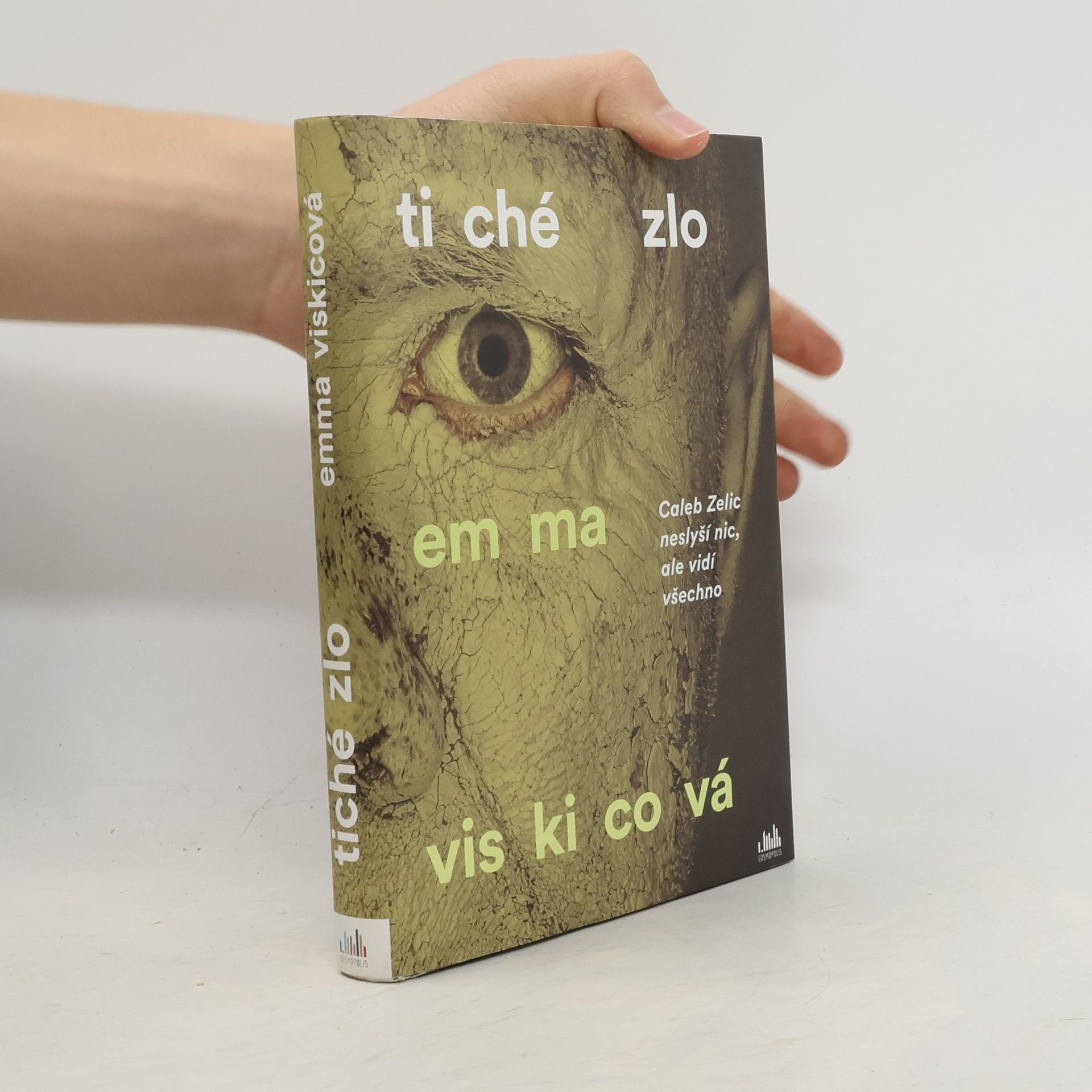 Emma Viskic Tiché zlo