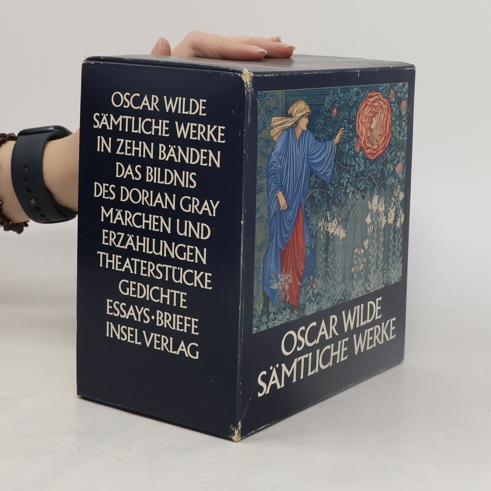 Oscar Wilde Oscar Wilde sämtliche Werke in zehn Bänden. Box