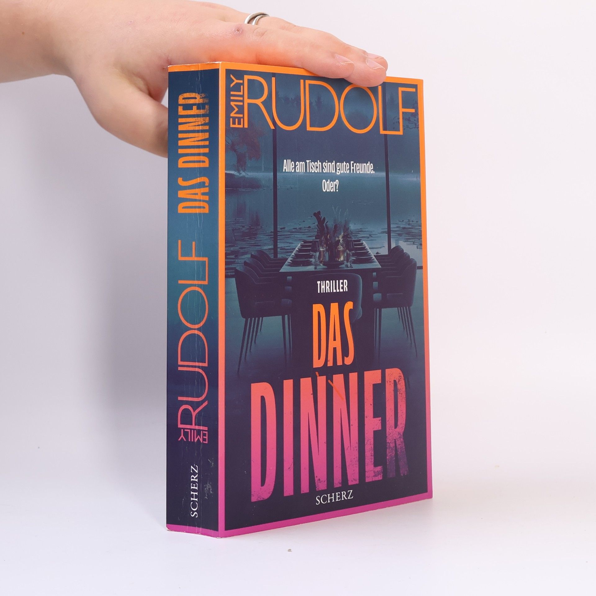 Emily Rudolf Das Dinner - Alle am Tisch sind gute Freunde. Oder?