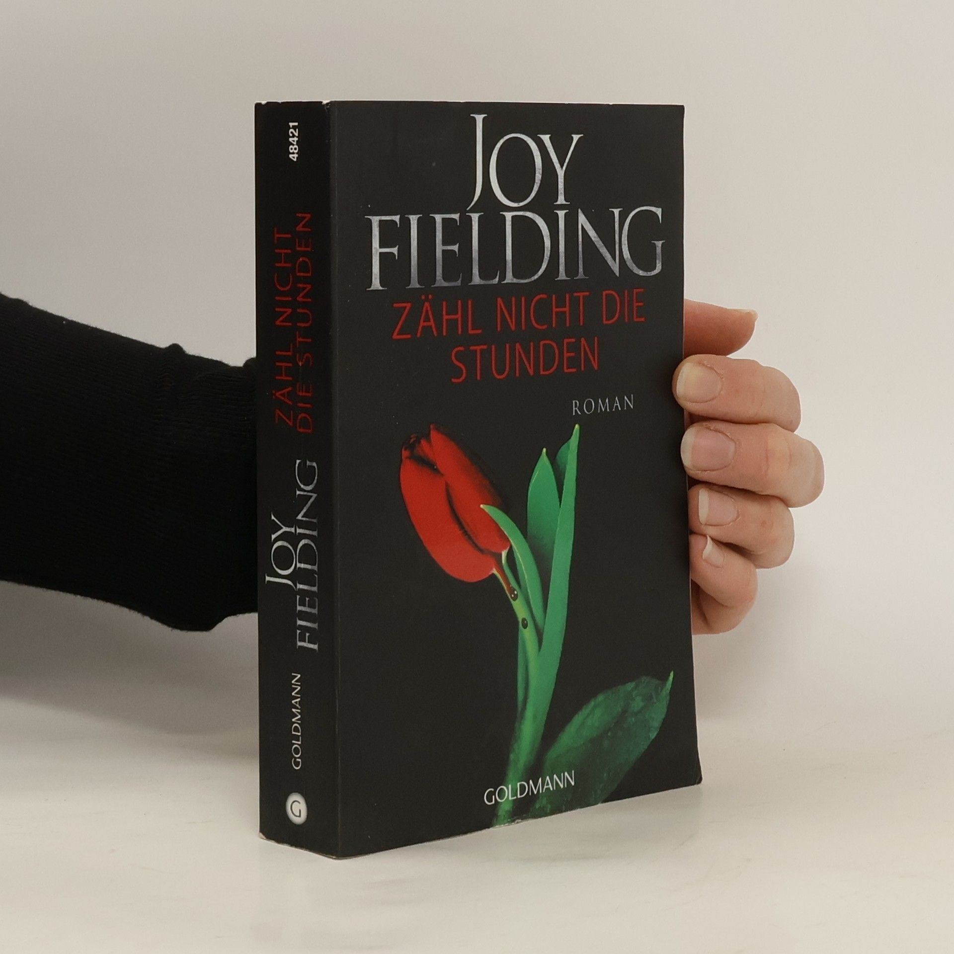 Joy Fielding Zähl nicht die Stunden