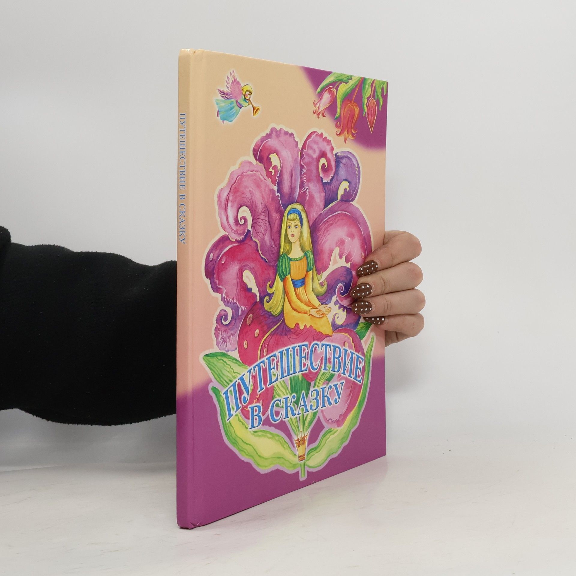 Collectif d'auteurs Путешествие в сказку