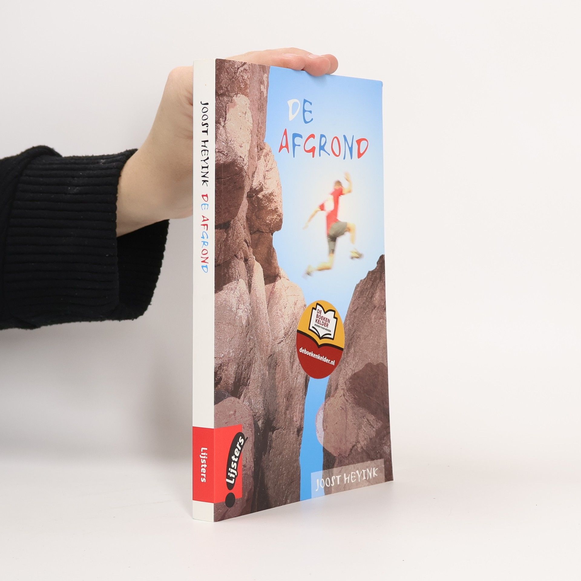 Joost Heyink Lijsters: De afgrond
