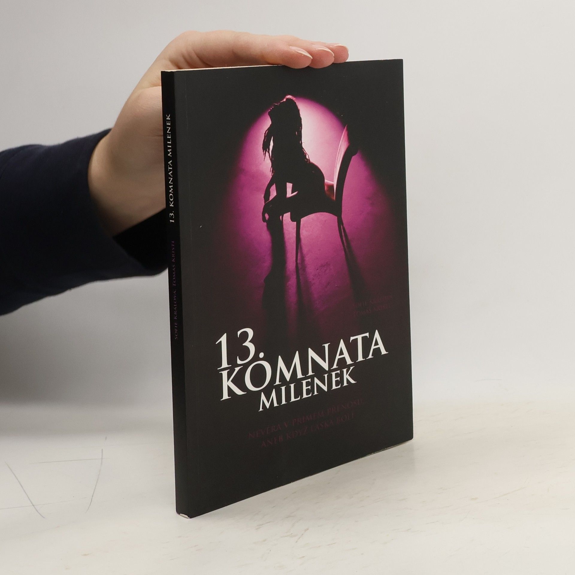 Tomáš Kristl 13. komnata milenek. Nevěra v přímém přenosu, aneb když láska bolí