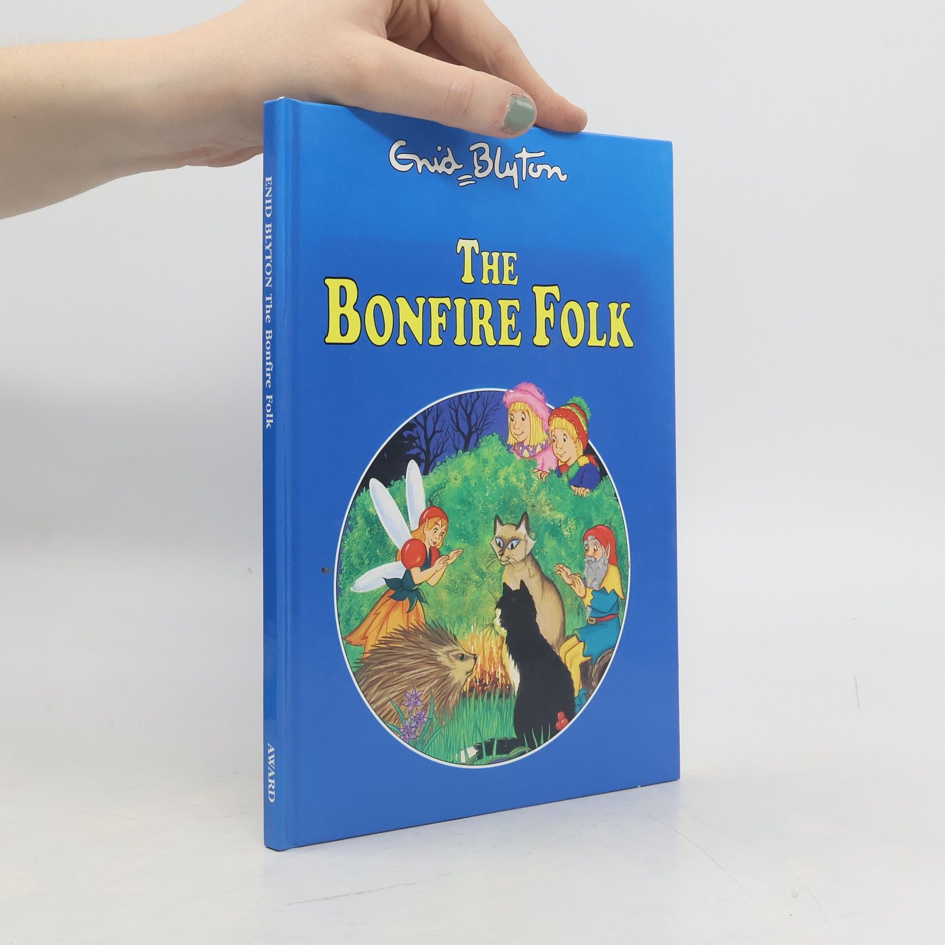 Enid Blyton The Bonfire Folk