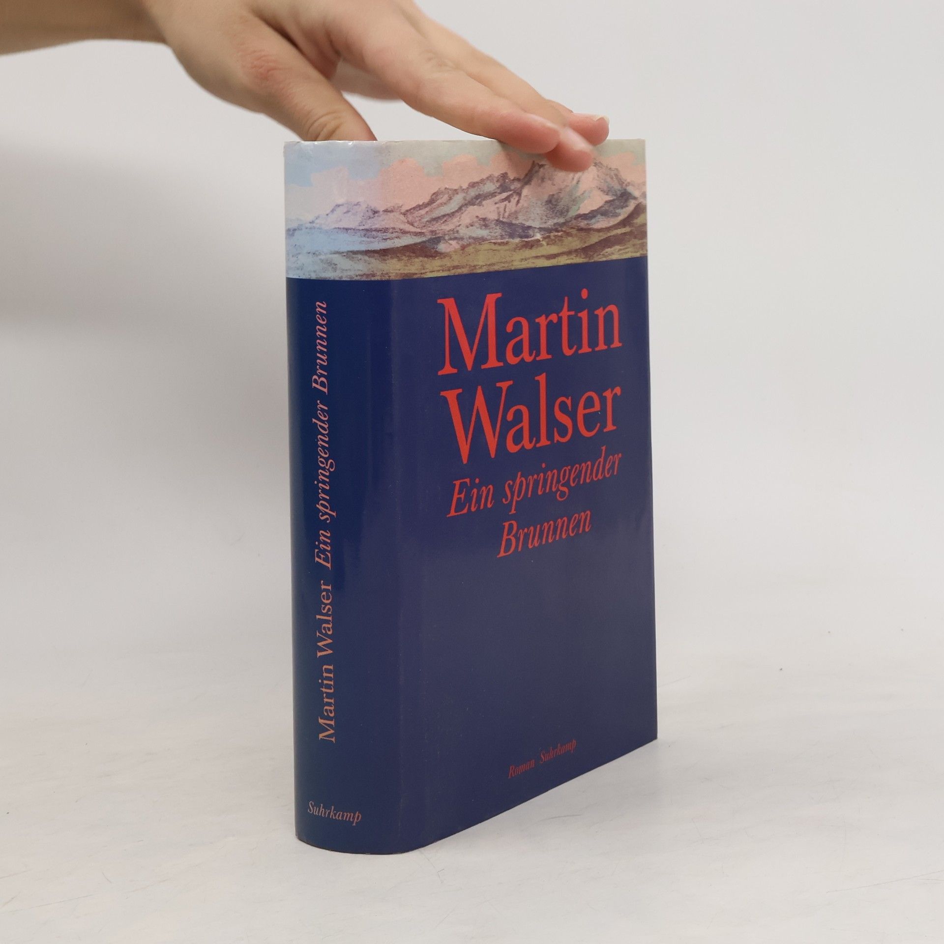 Martin Walser Ein springender Brunnen