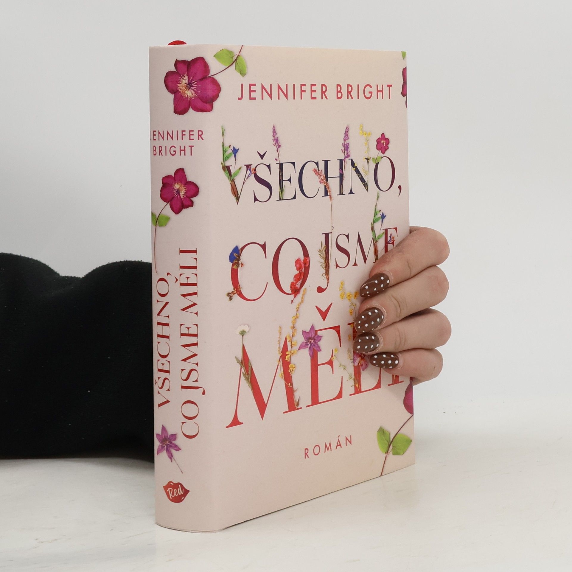 Jennifer Bright Všechno, co jsme měli