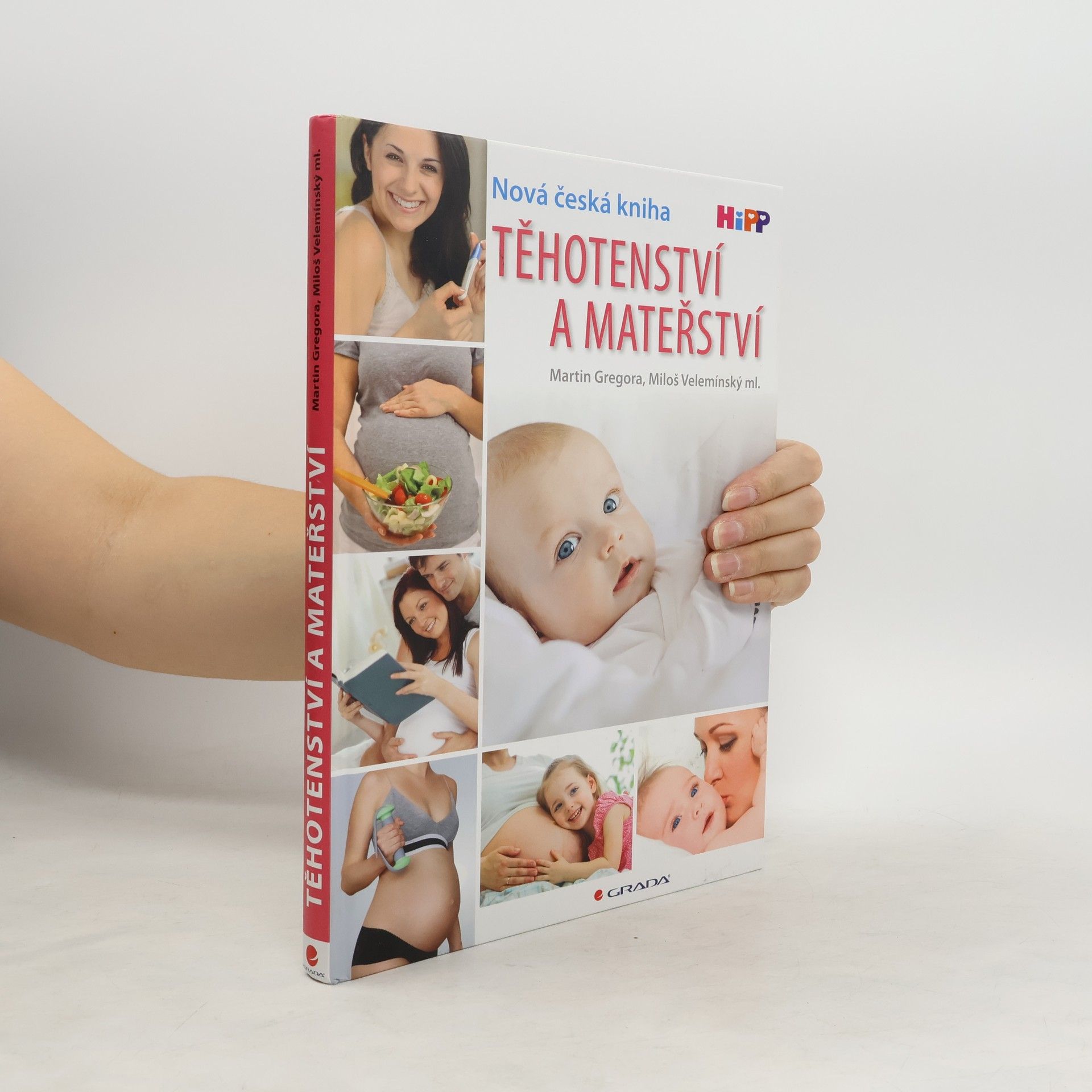 Martin Gregor-Dellin Těhotenství a mateřství