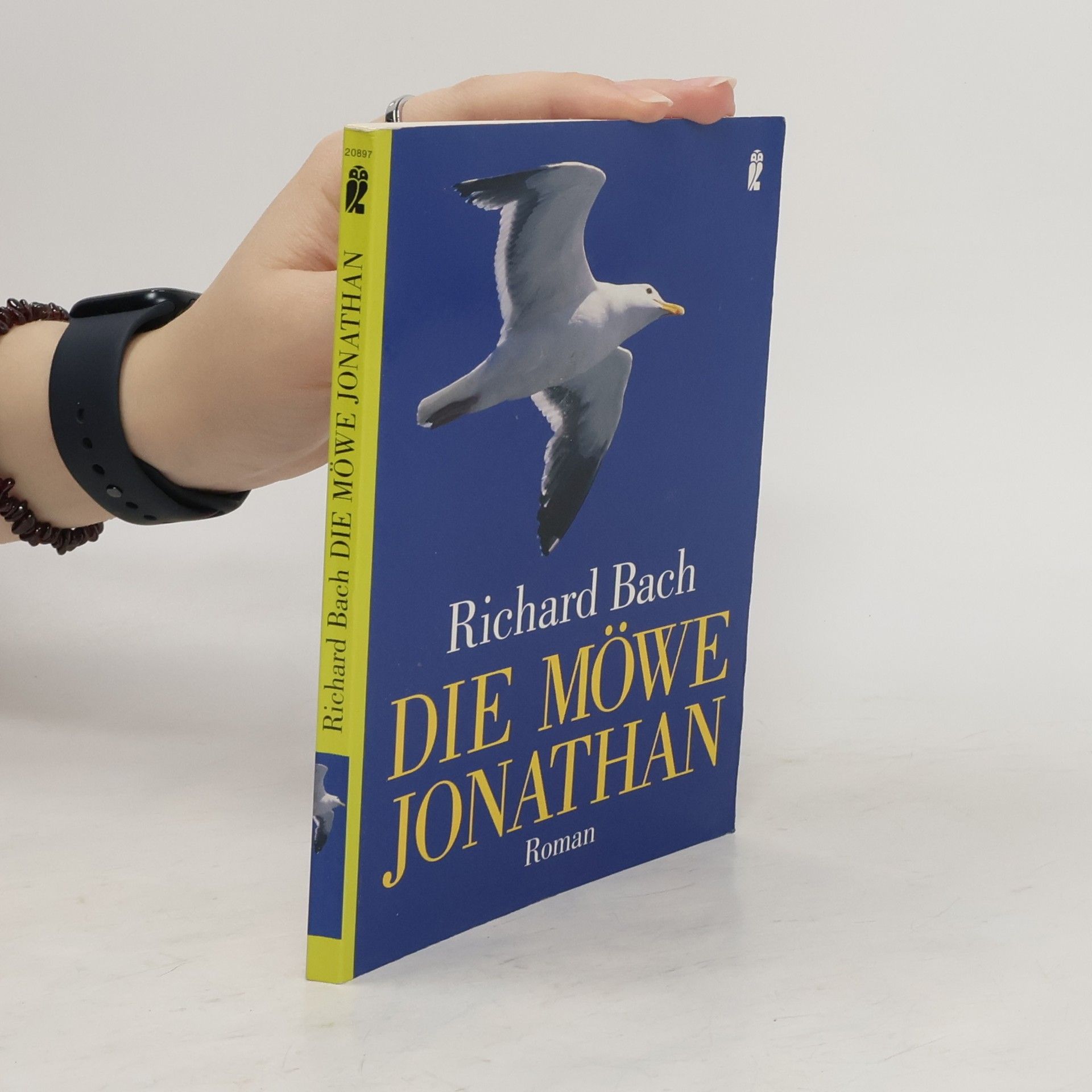 Die Möwe Jonathan