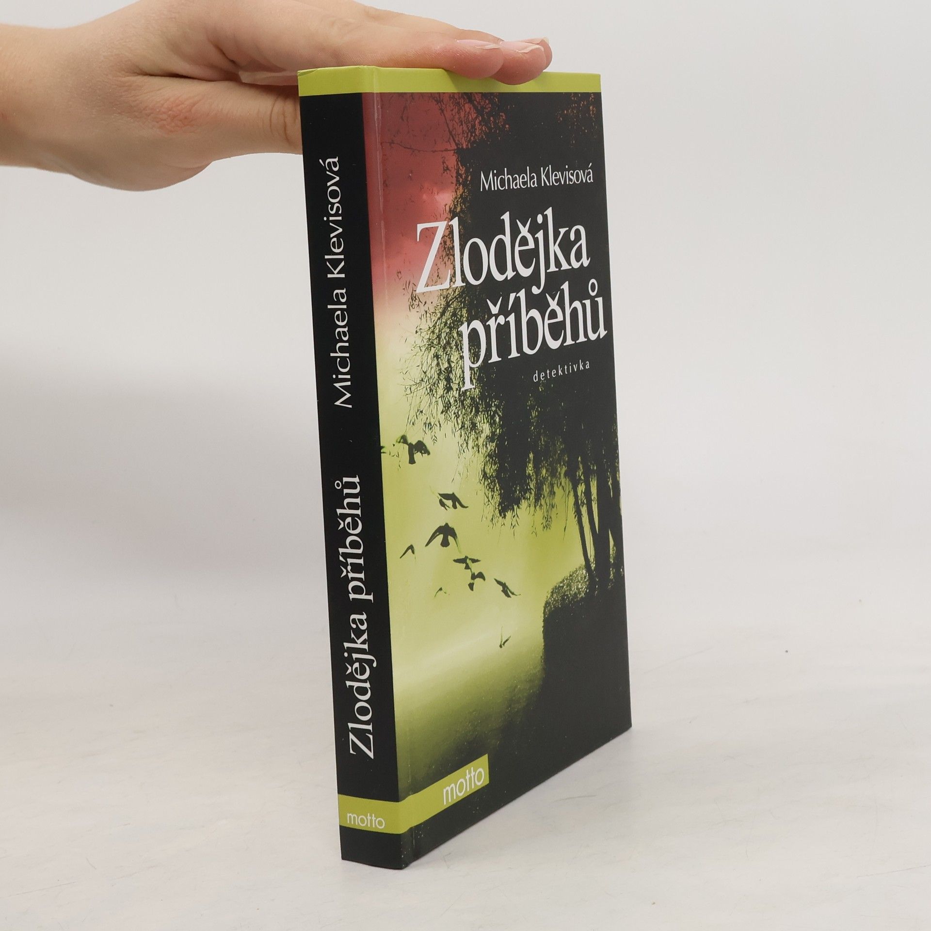 Michaela Klevisová Zlodějka příběhů