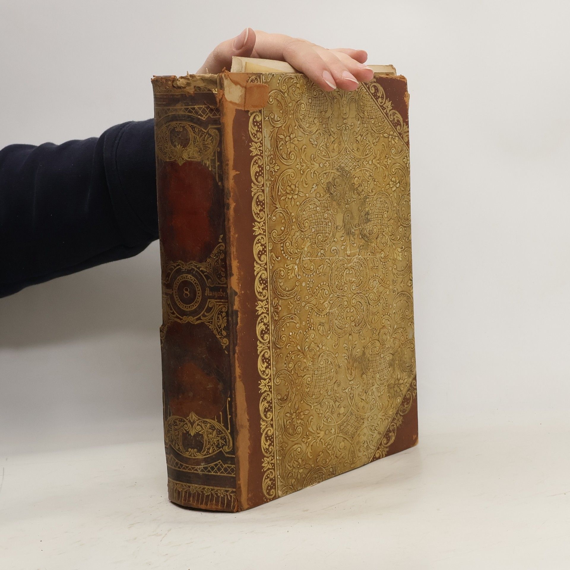 Autorenkollektiv Brockhaus´ Konversations-Lexikon