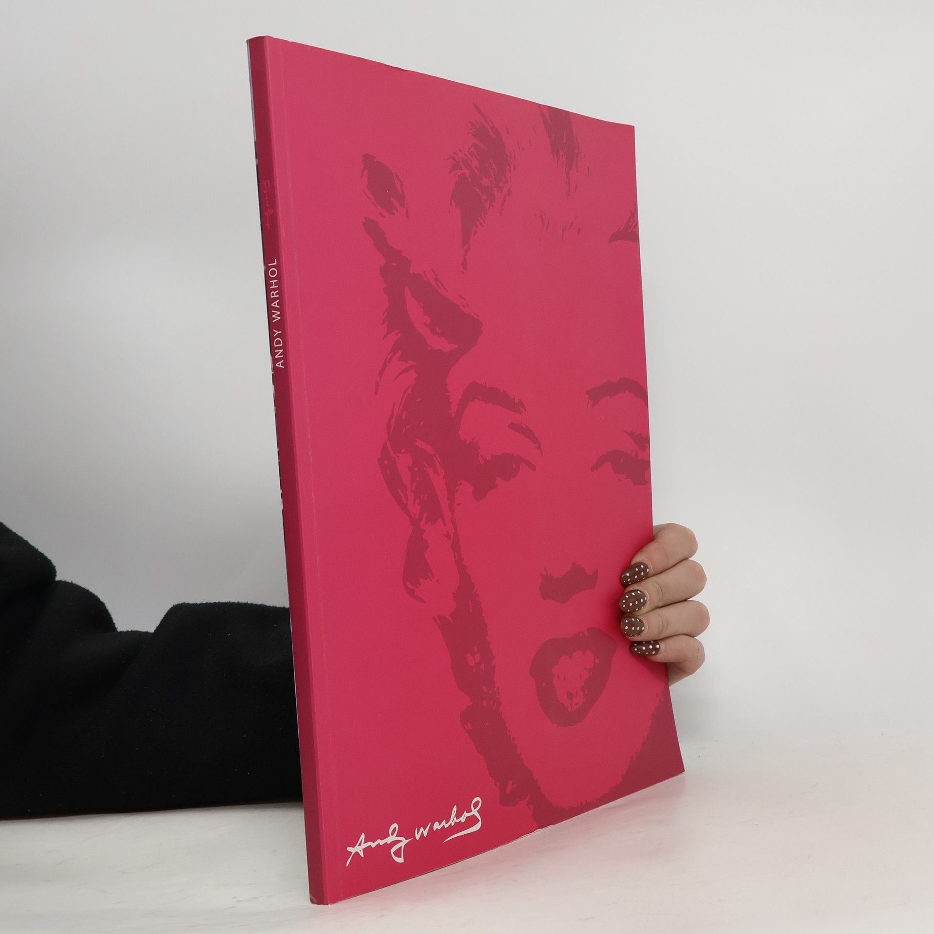 Collectif d'auteurs Andy Warhol