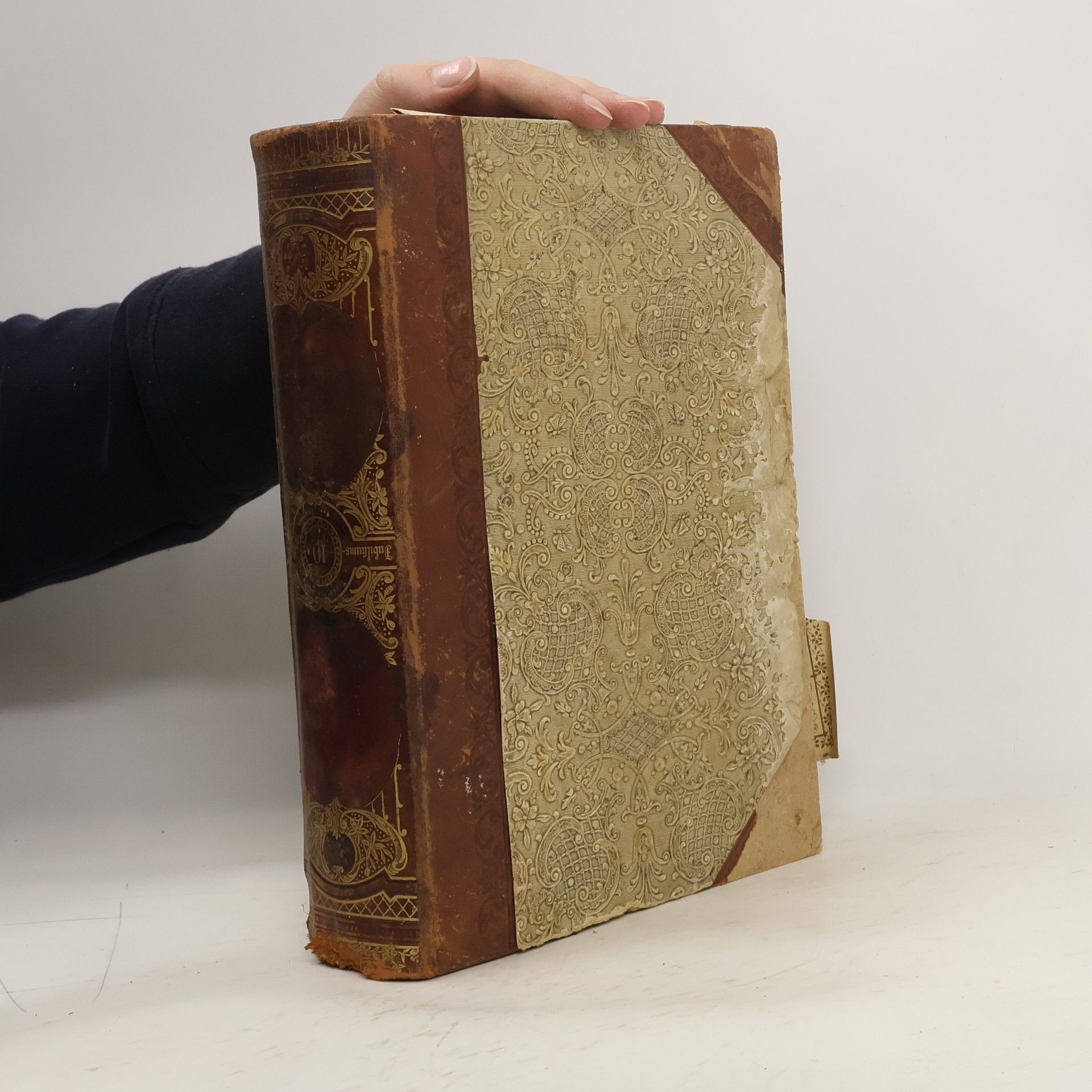 Autorenkollektiv Brockhaus´ Konversations-Lexikon 10