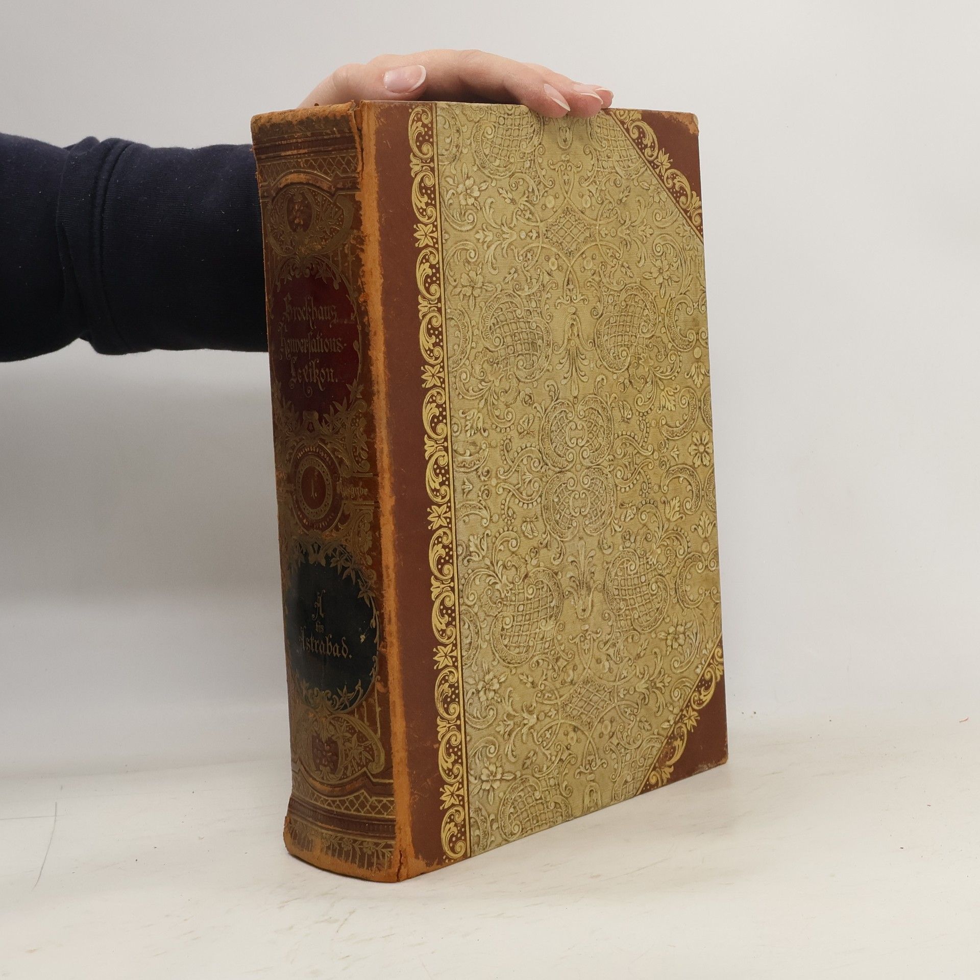 Autorenkollektiv Brockhaus´ Konversations-Lexikon 1